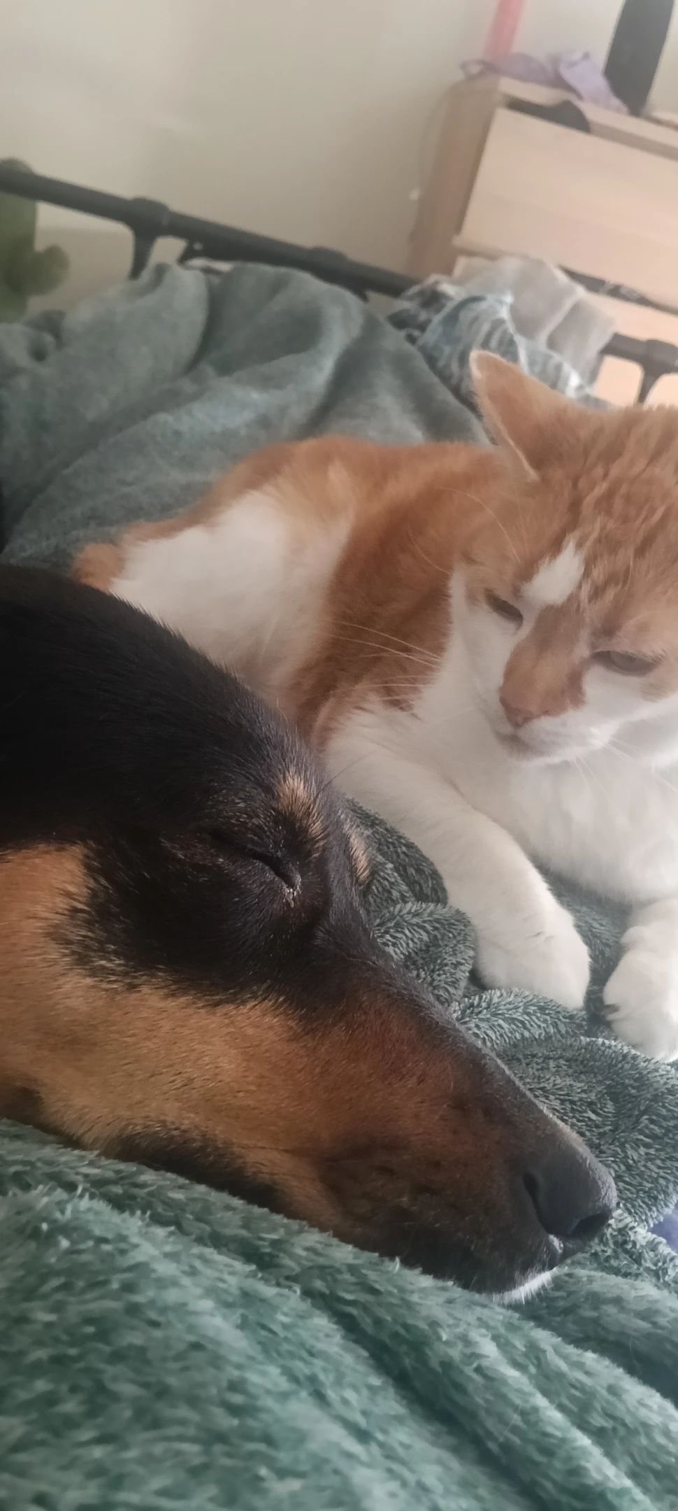 image-5