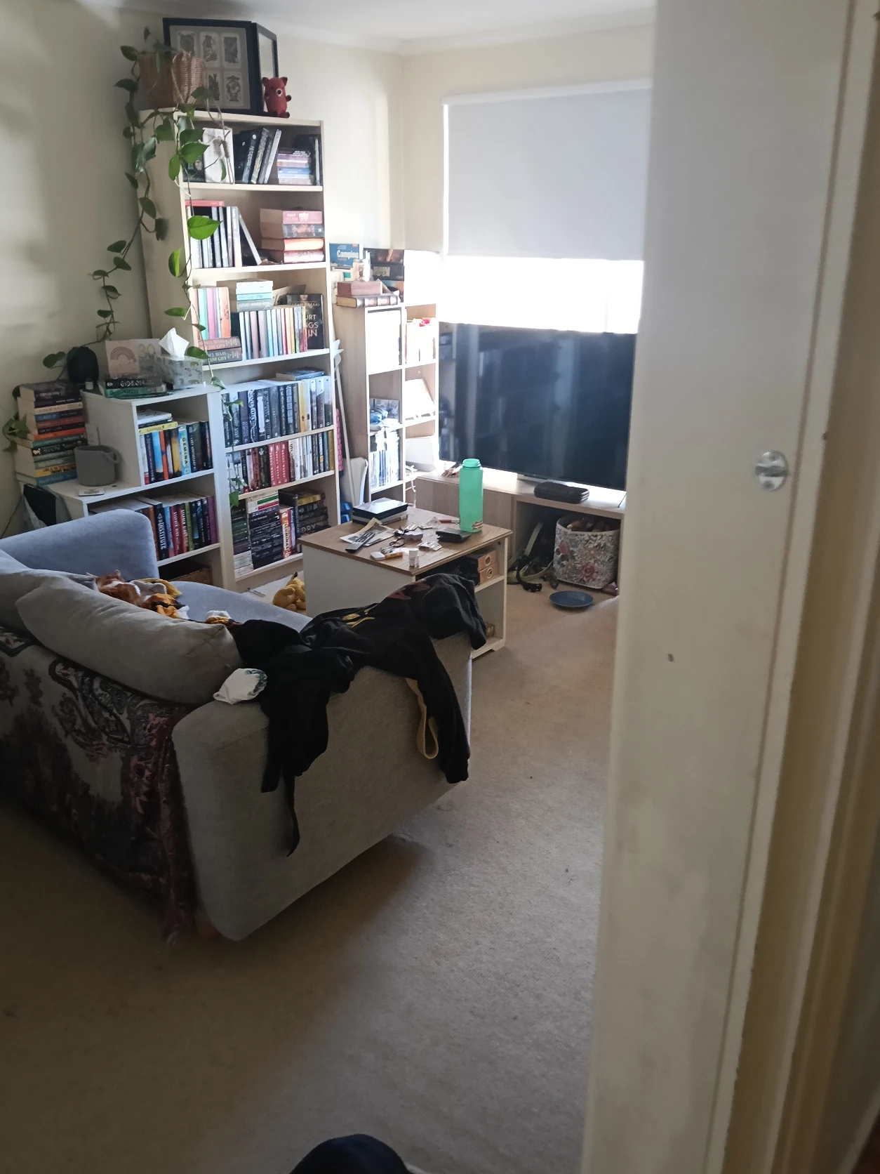 image-12