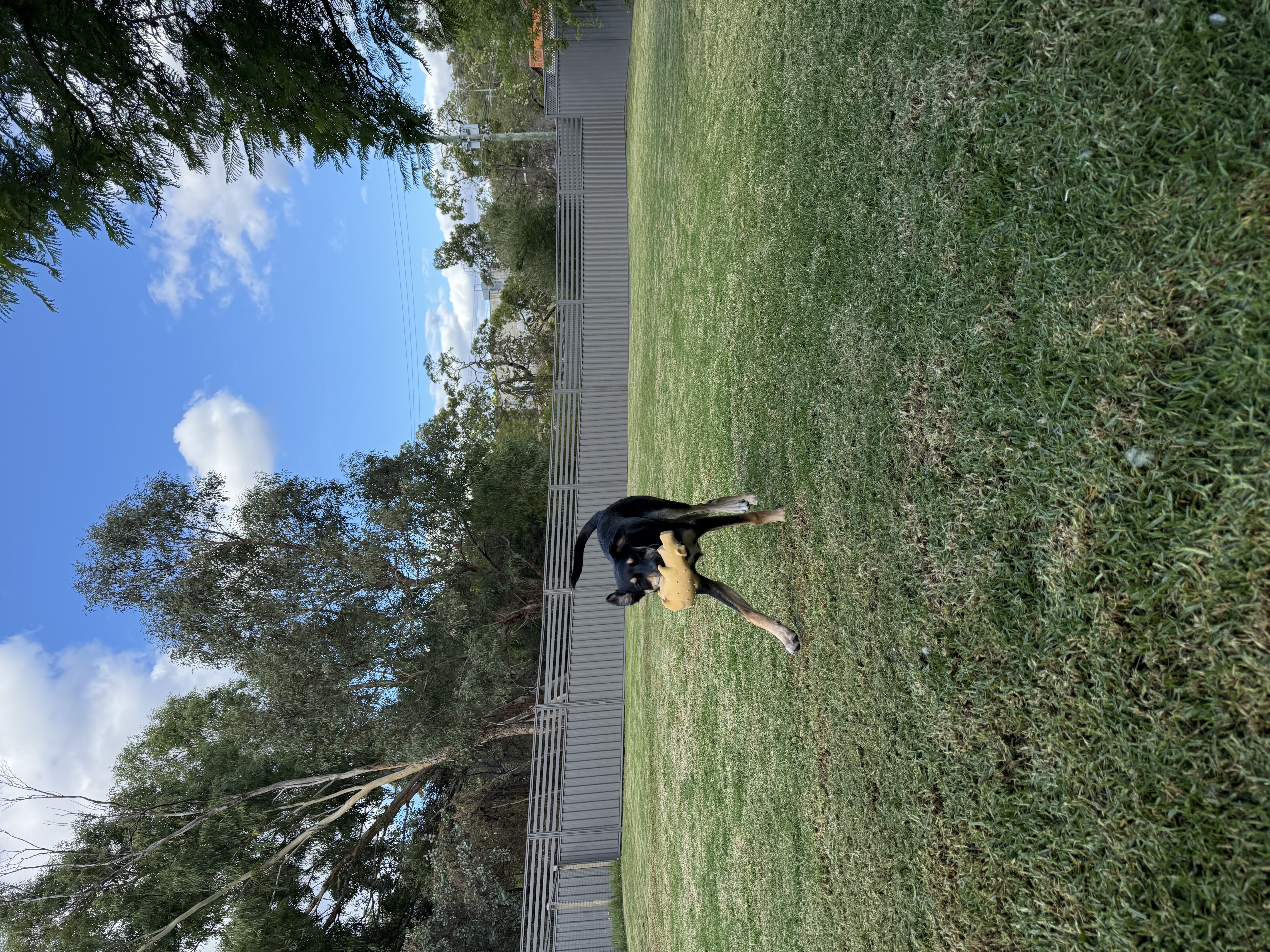 image-20