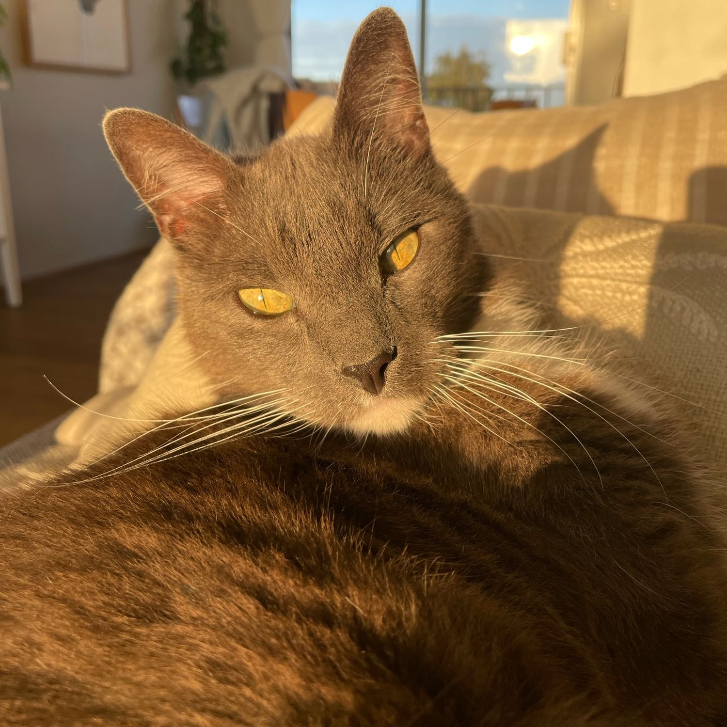 Sebastian 