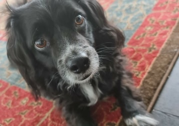 Nash