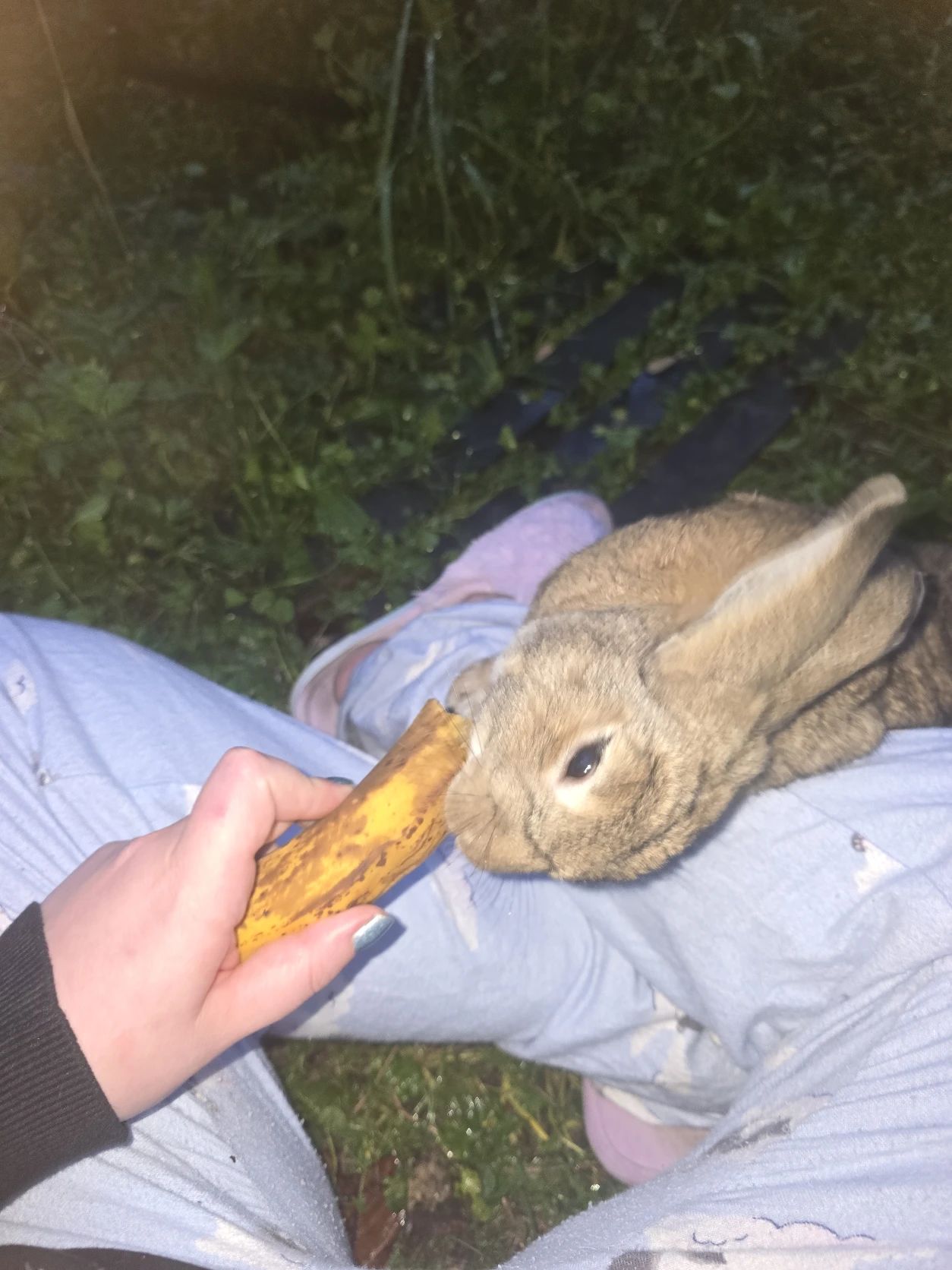 image-8
