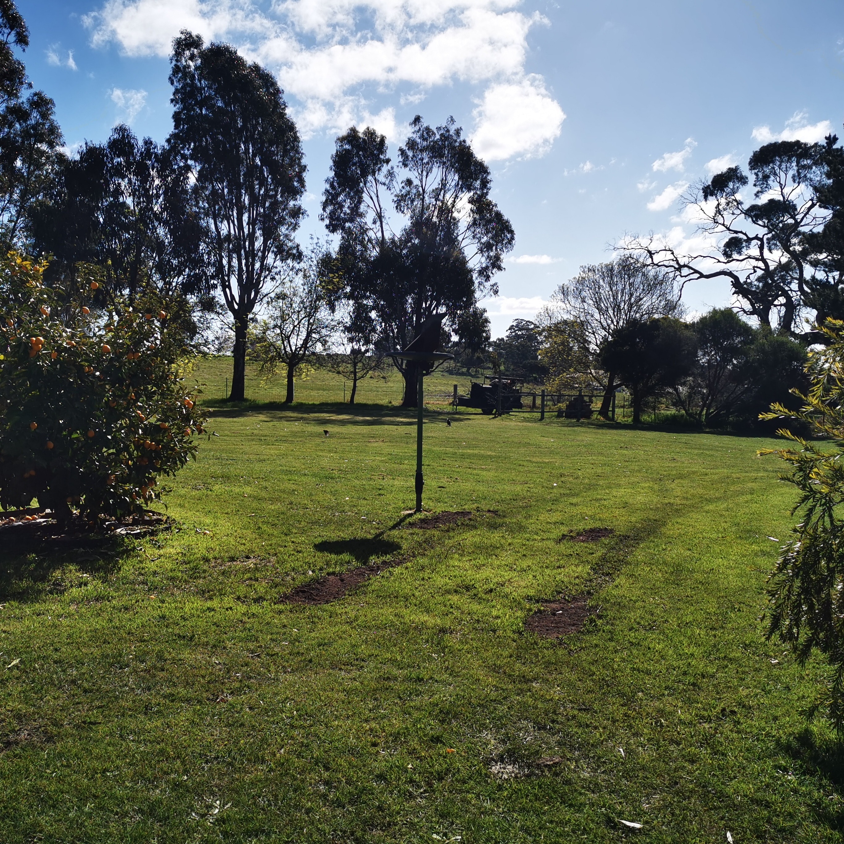 image-3