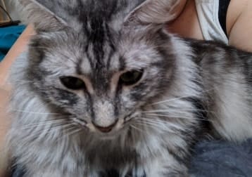 Freya