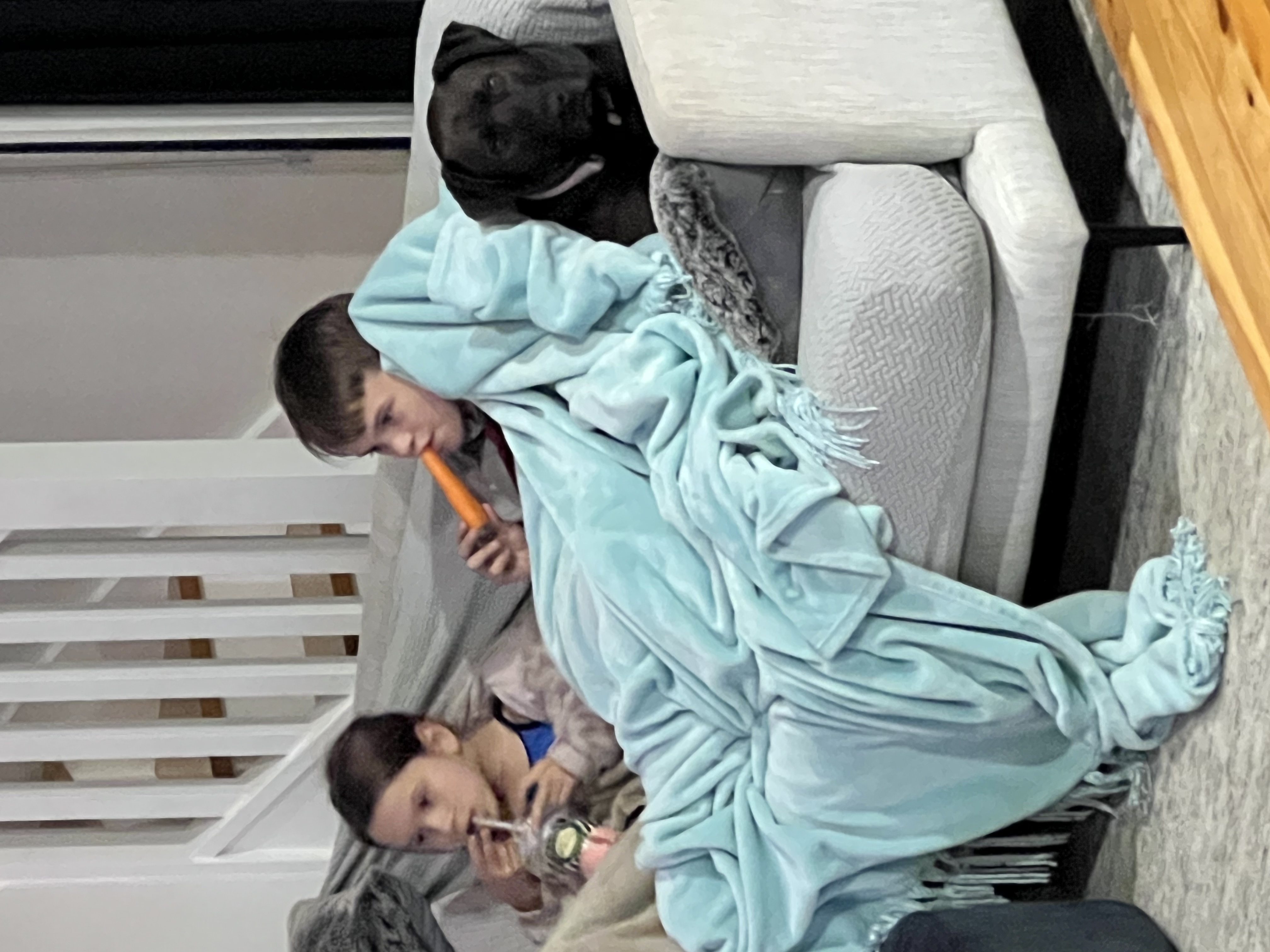 image-20