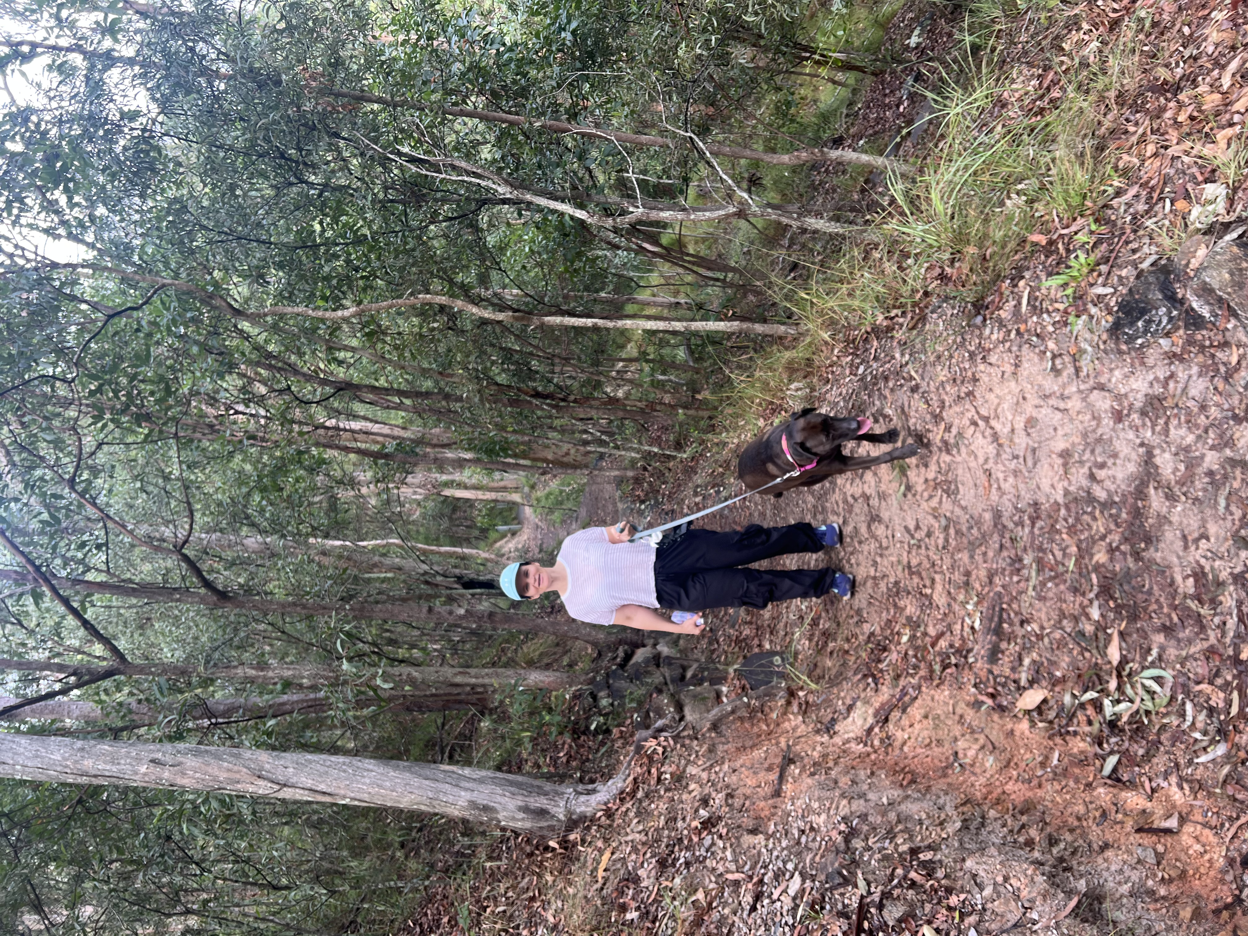 image-10