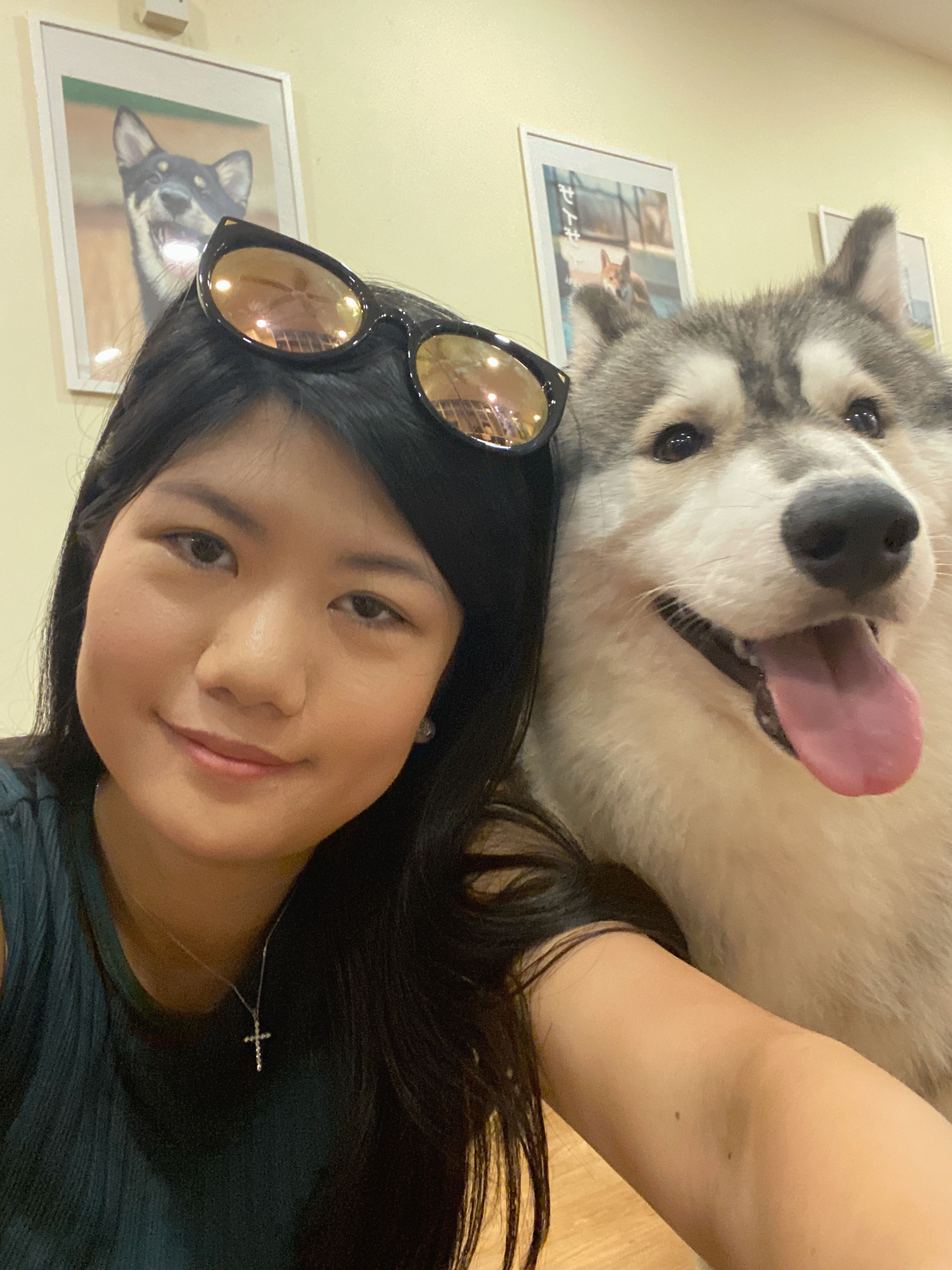 image-7