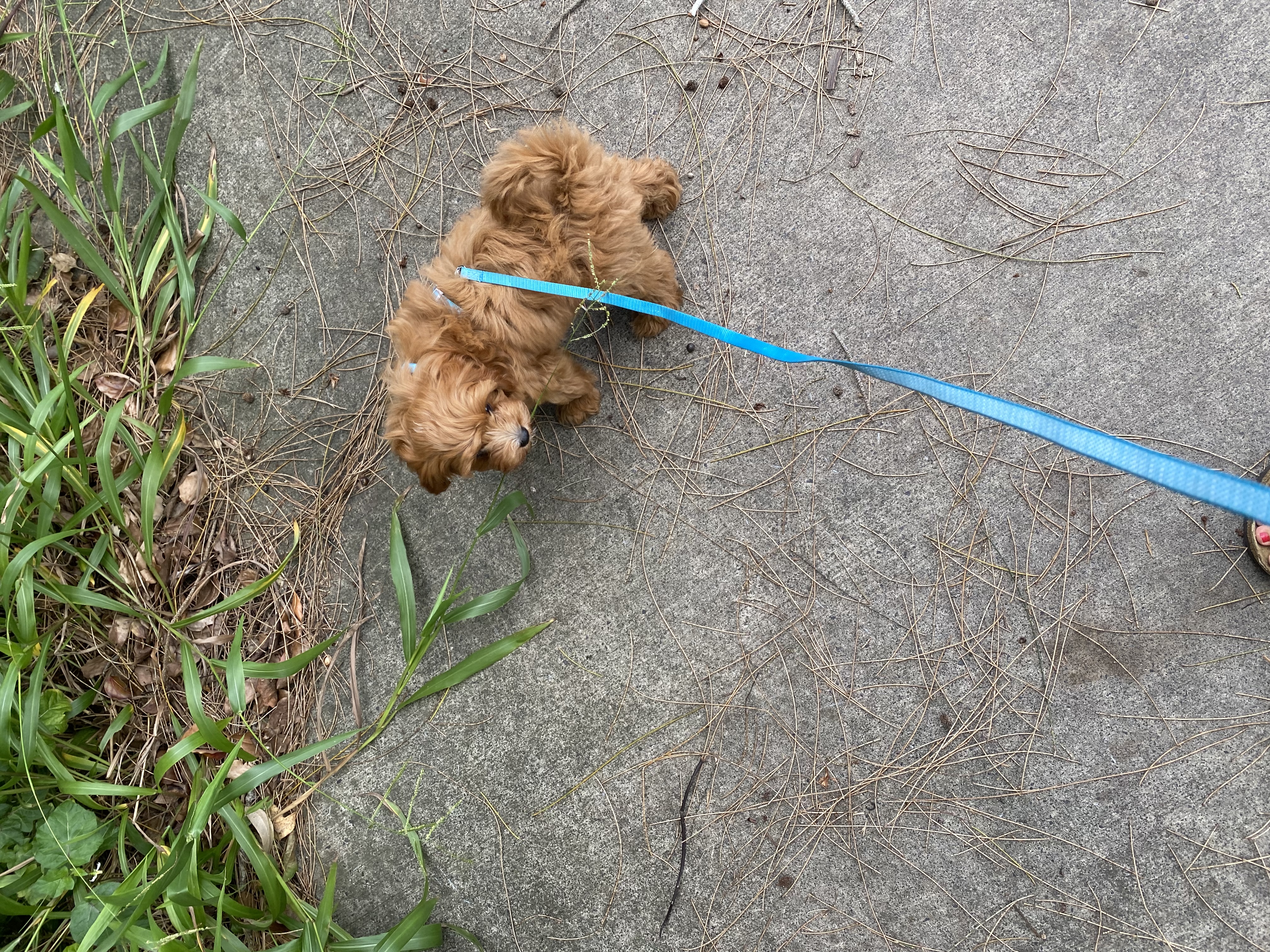 image-8
