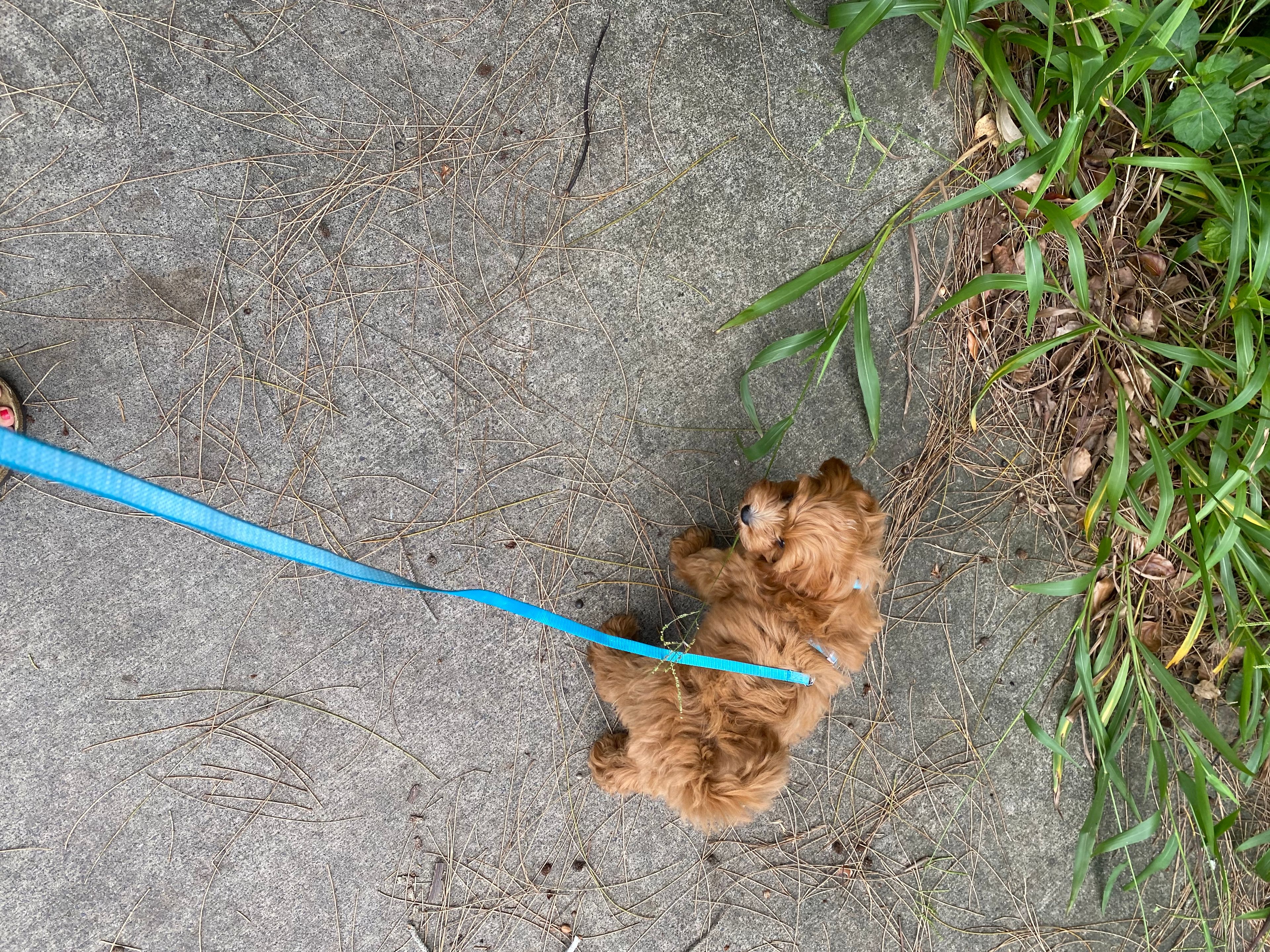 image-8