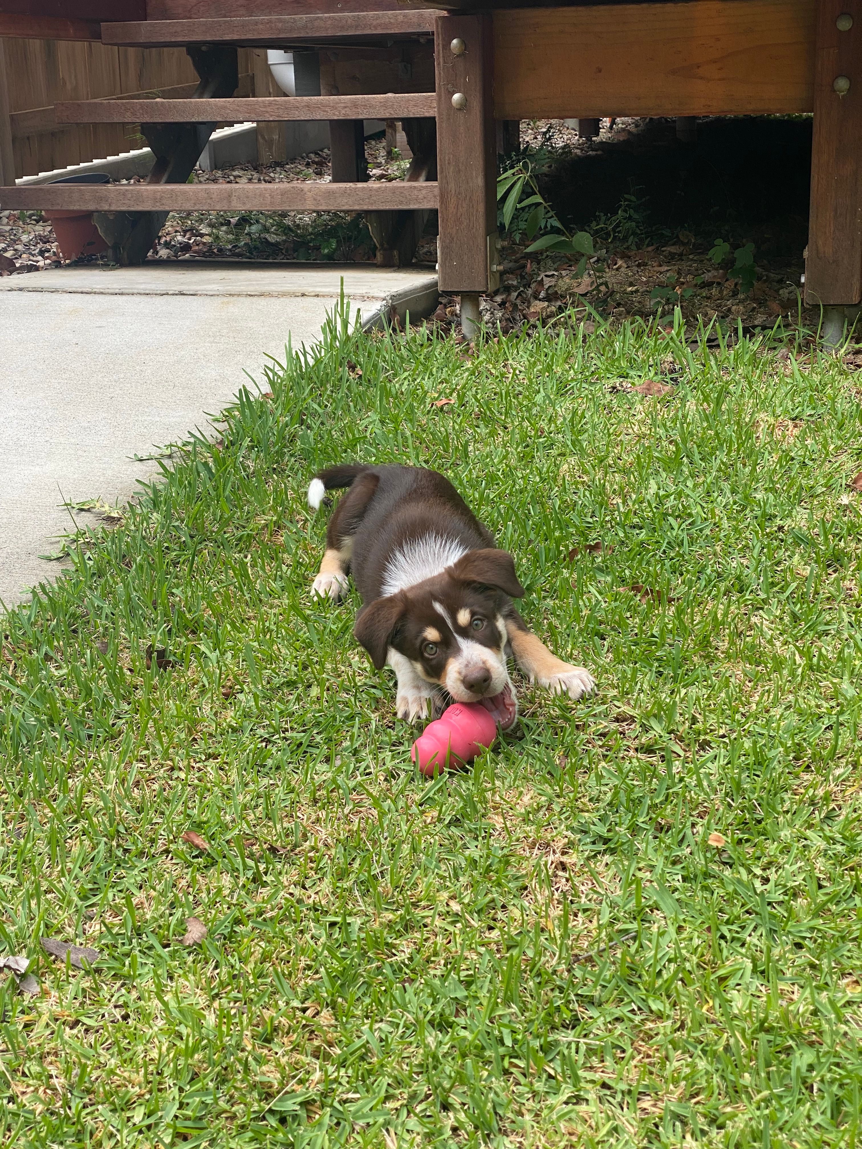 image-13