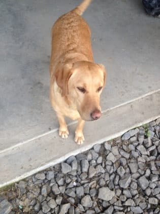 image-4