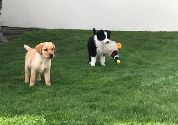 Sandy and whiskey