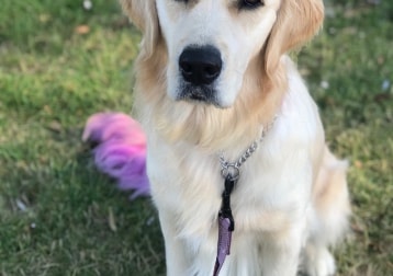 Lucy