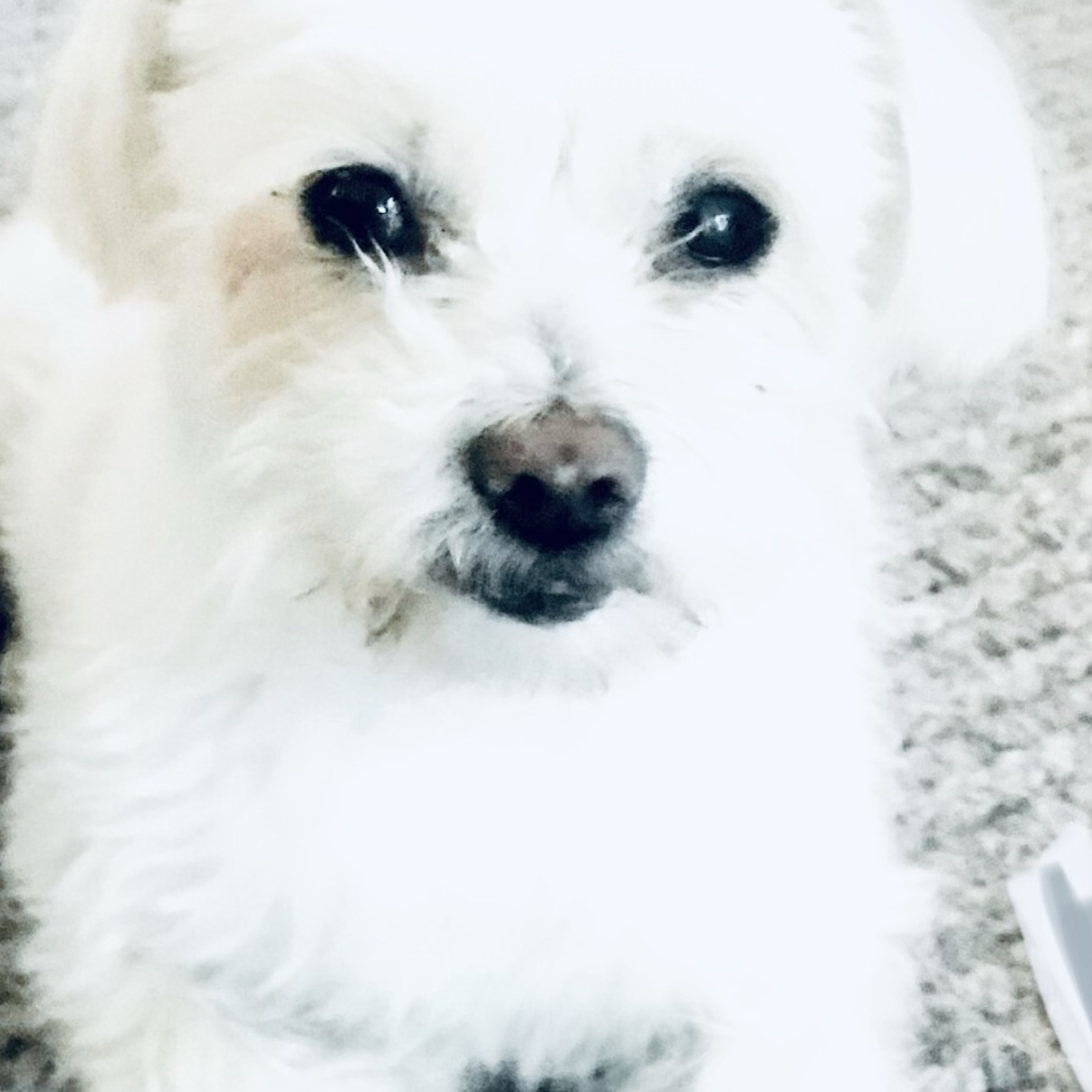 Murphy