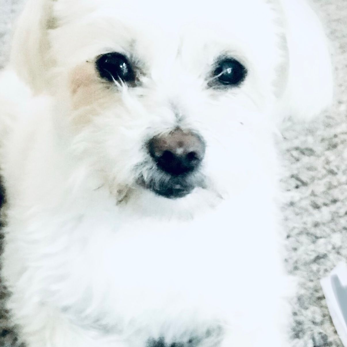 Murphy