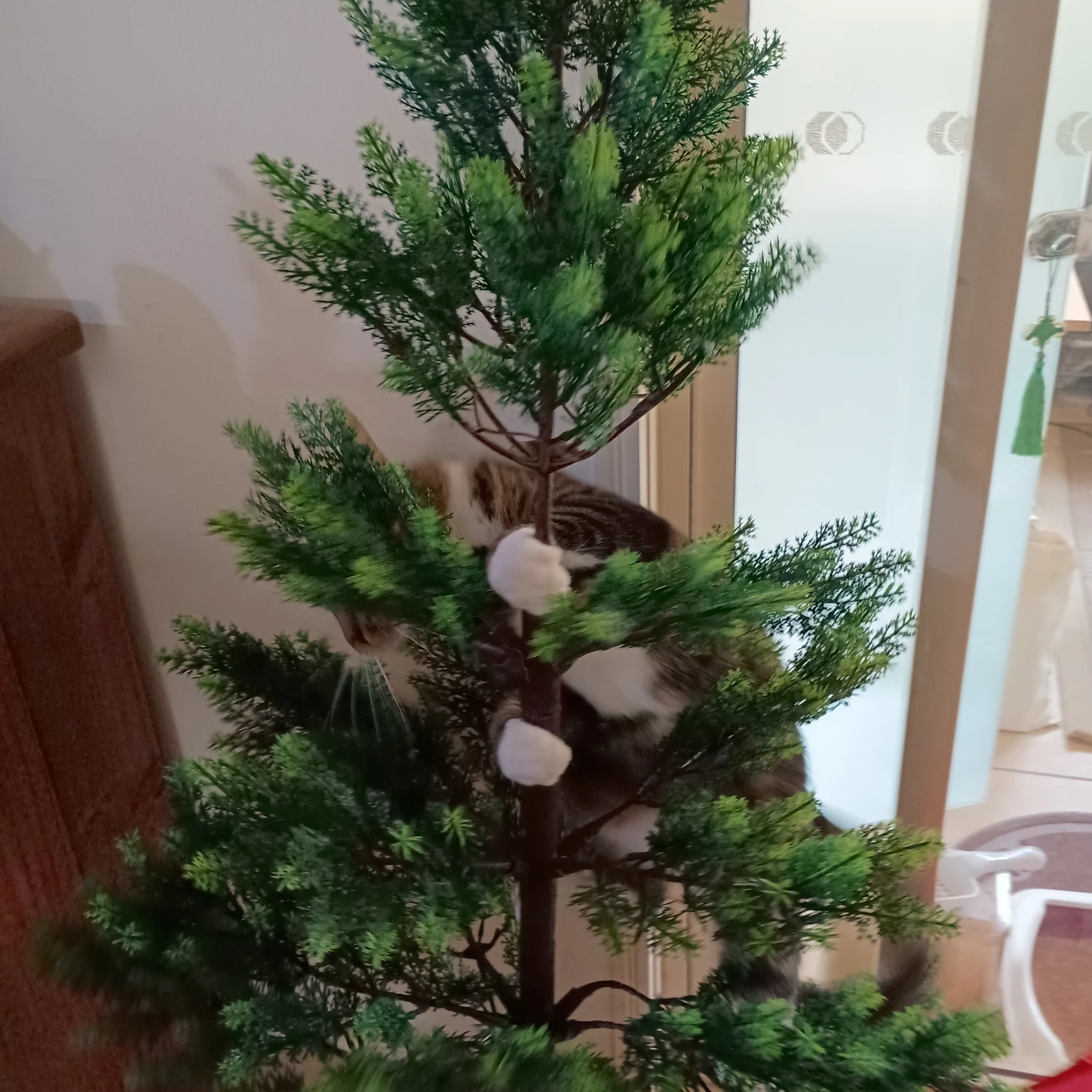 image-16