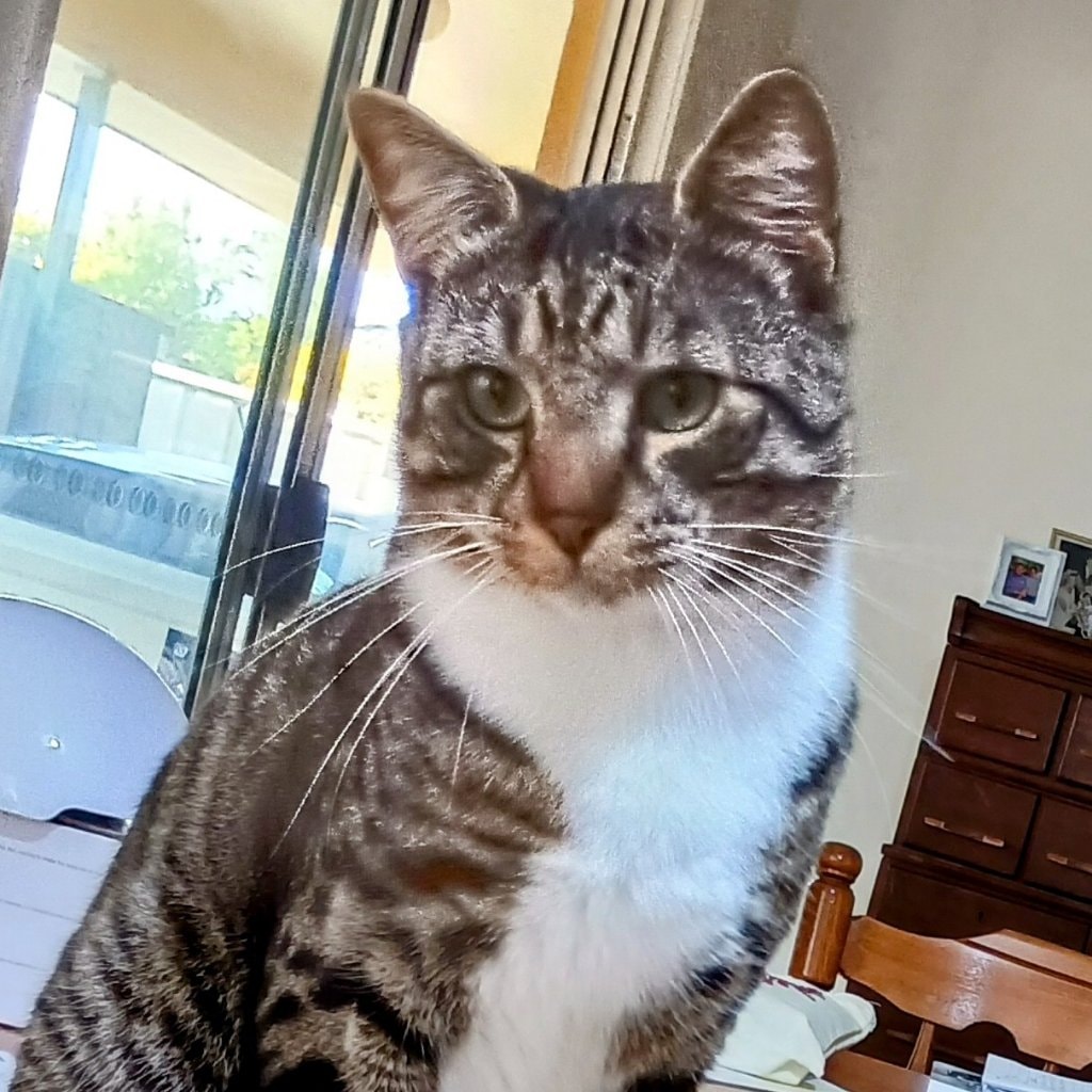 Obi-Wan Catoby