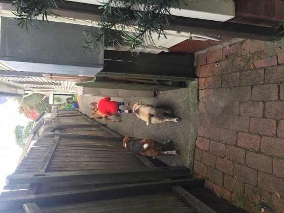 image-20