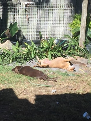 image-5