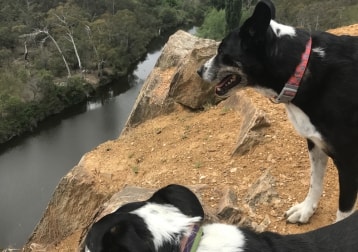 Phoebe And Hurley 