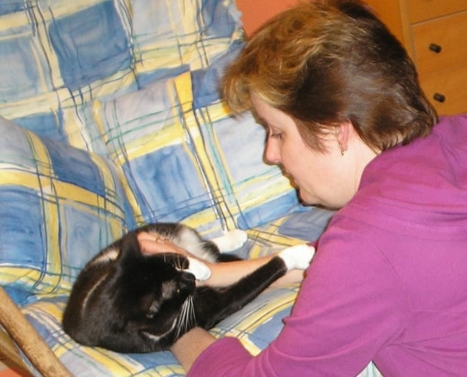 image-6