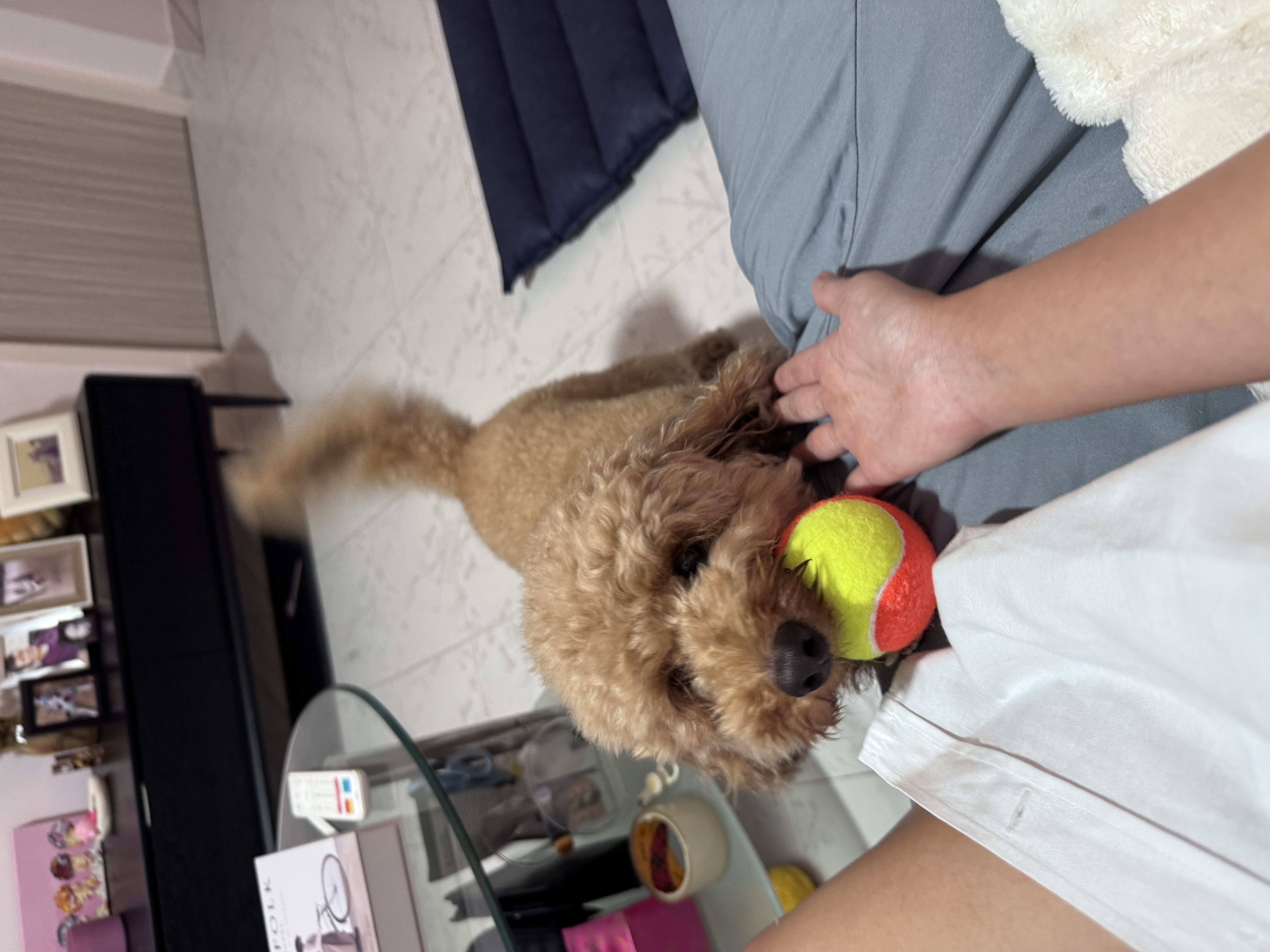 image-12