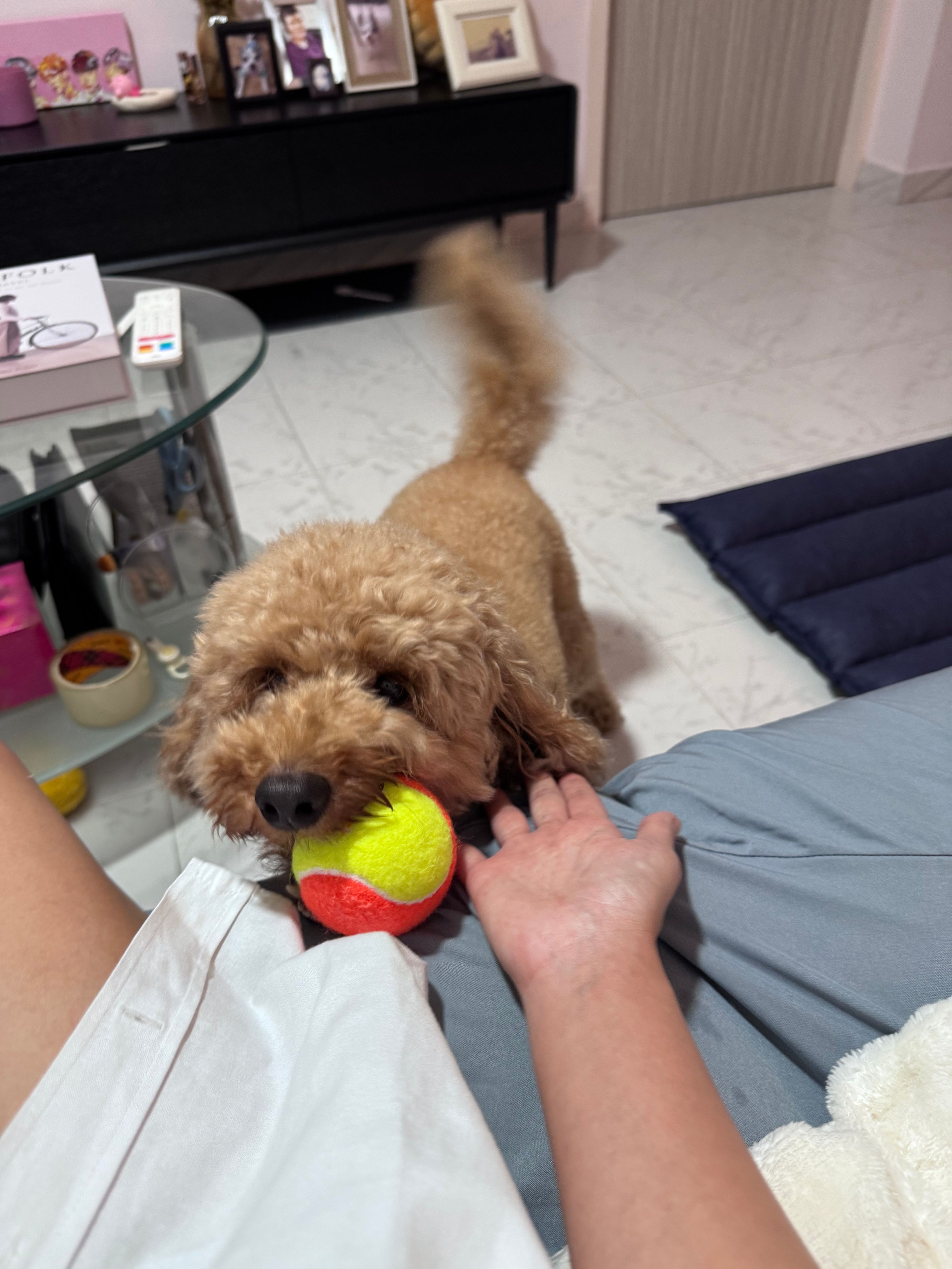 image-12