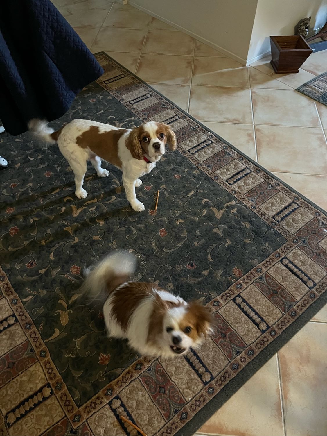 image-5