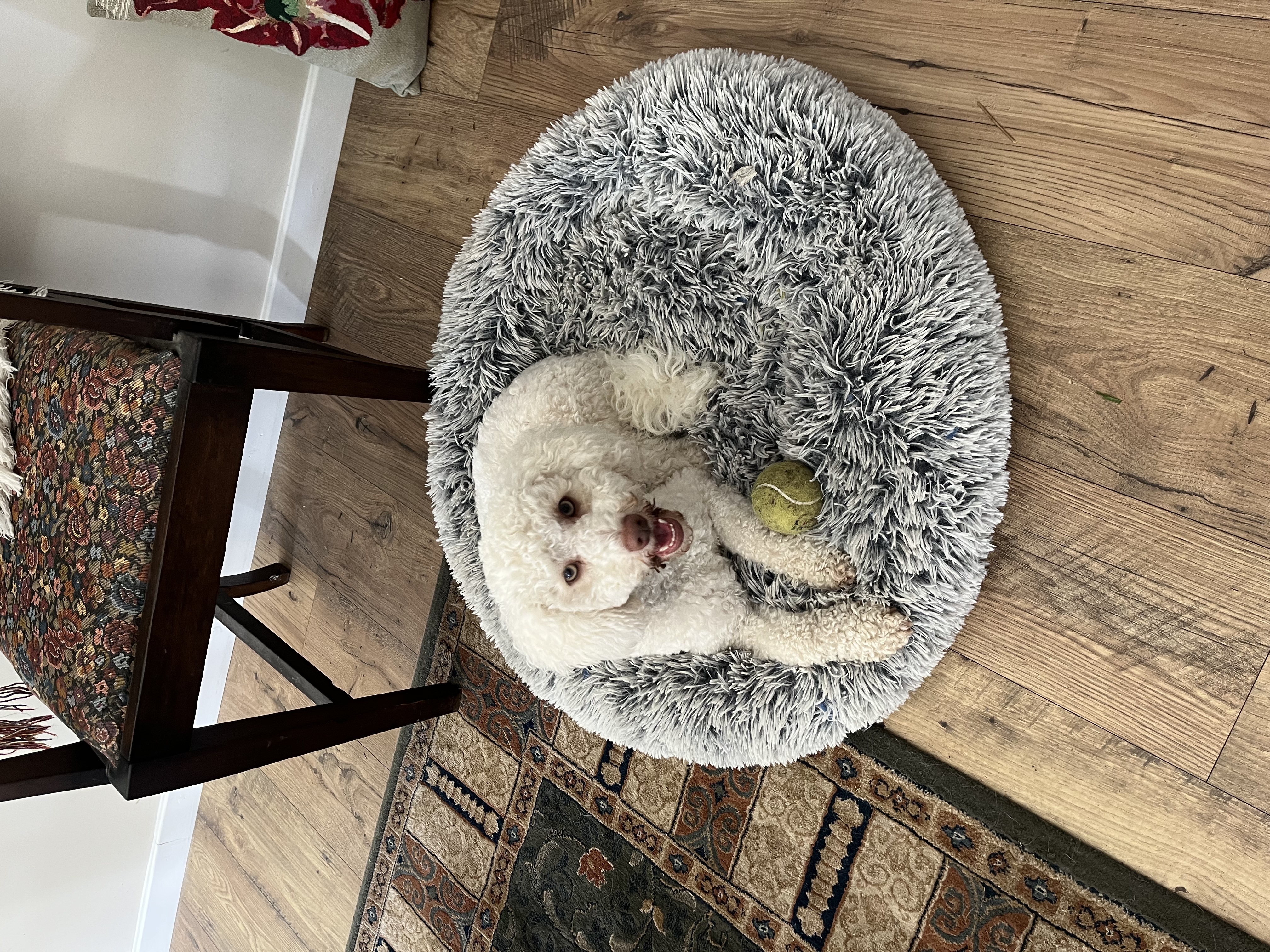 image-15