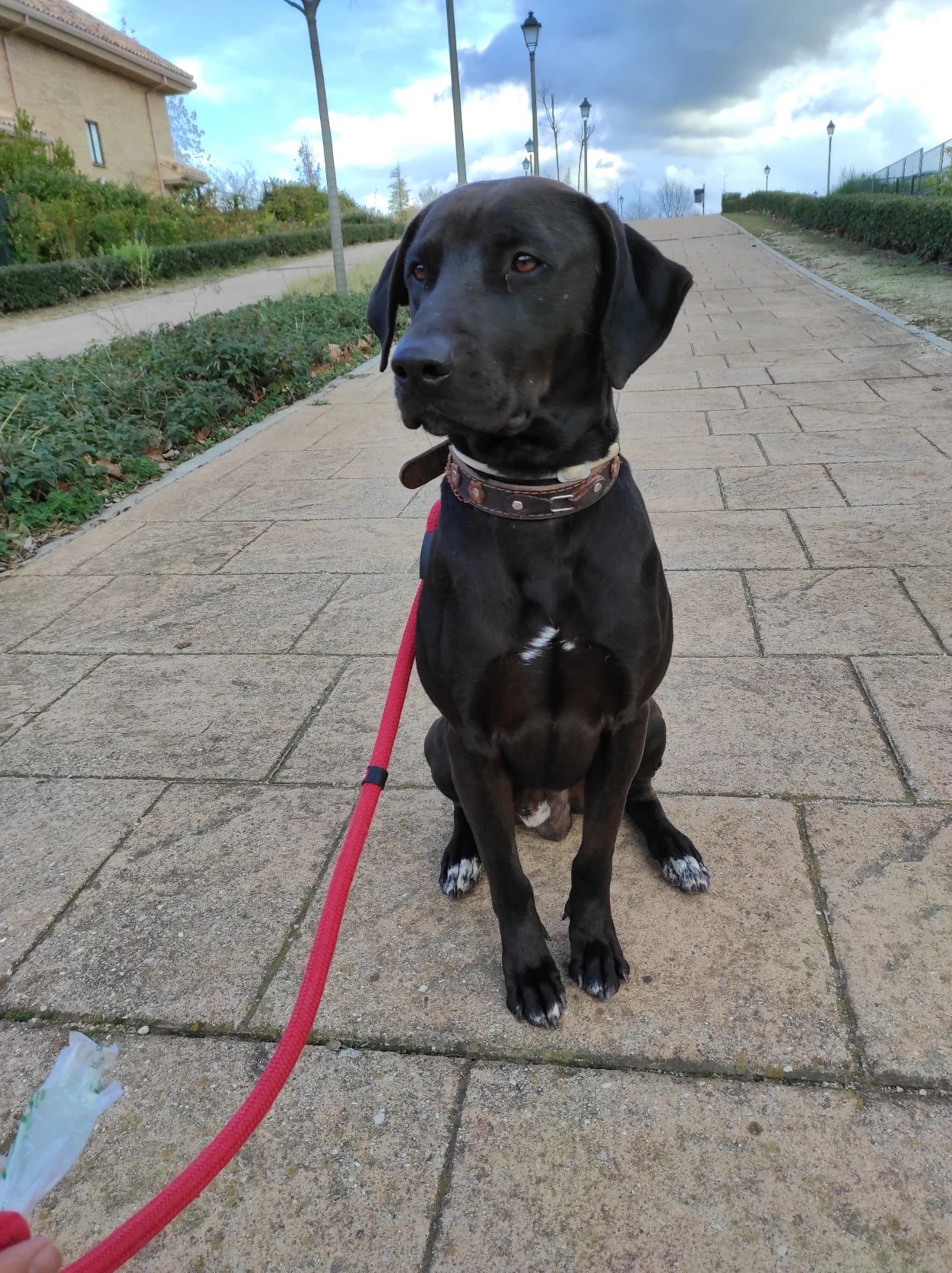 image-9