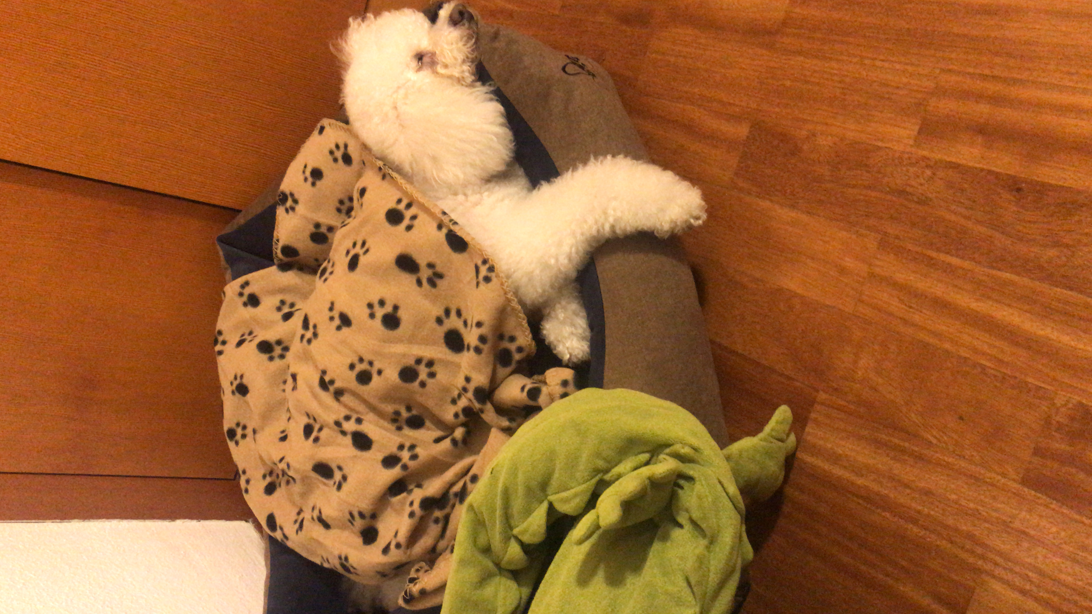 image-9