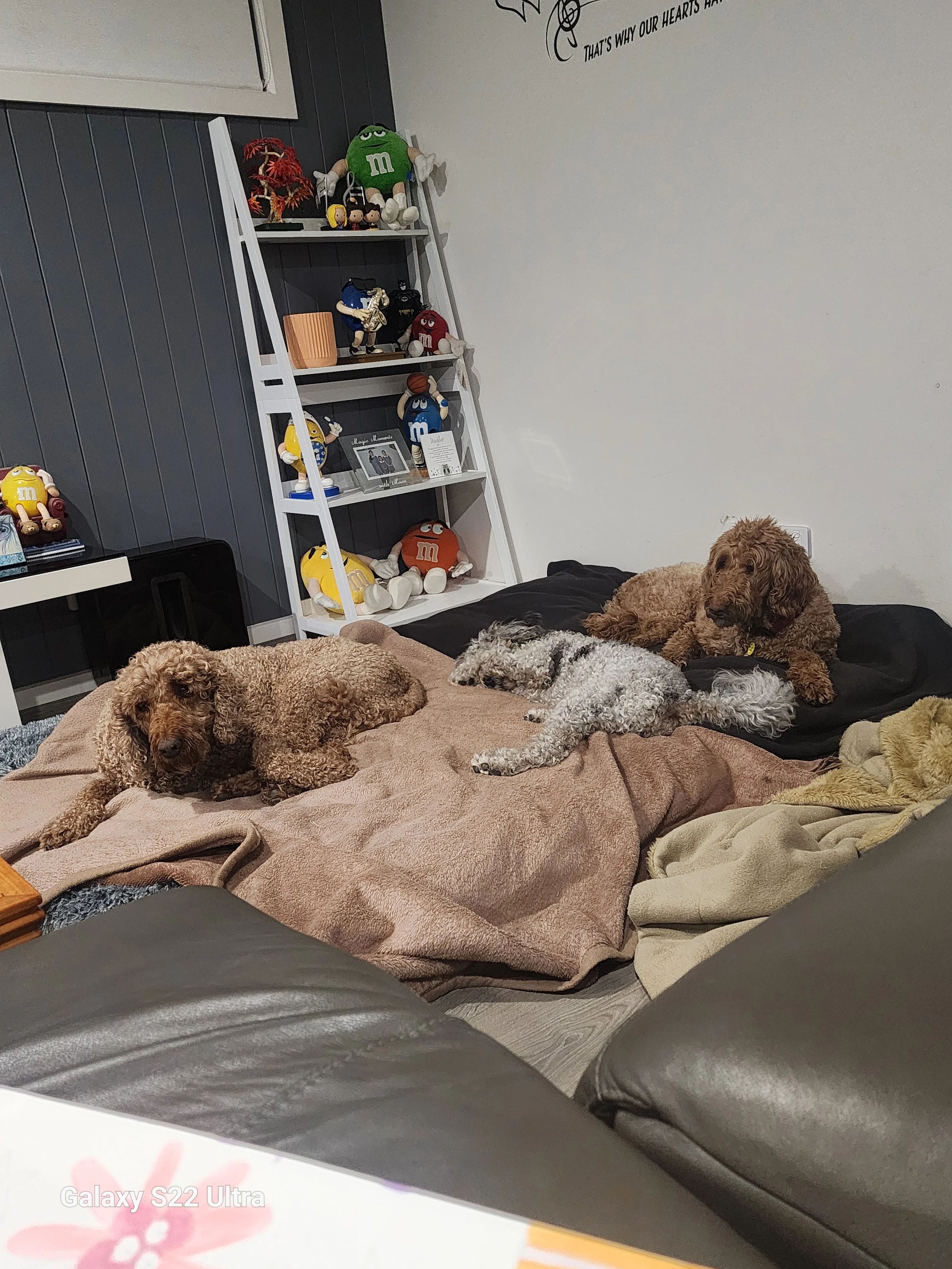 image-3