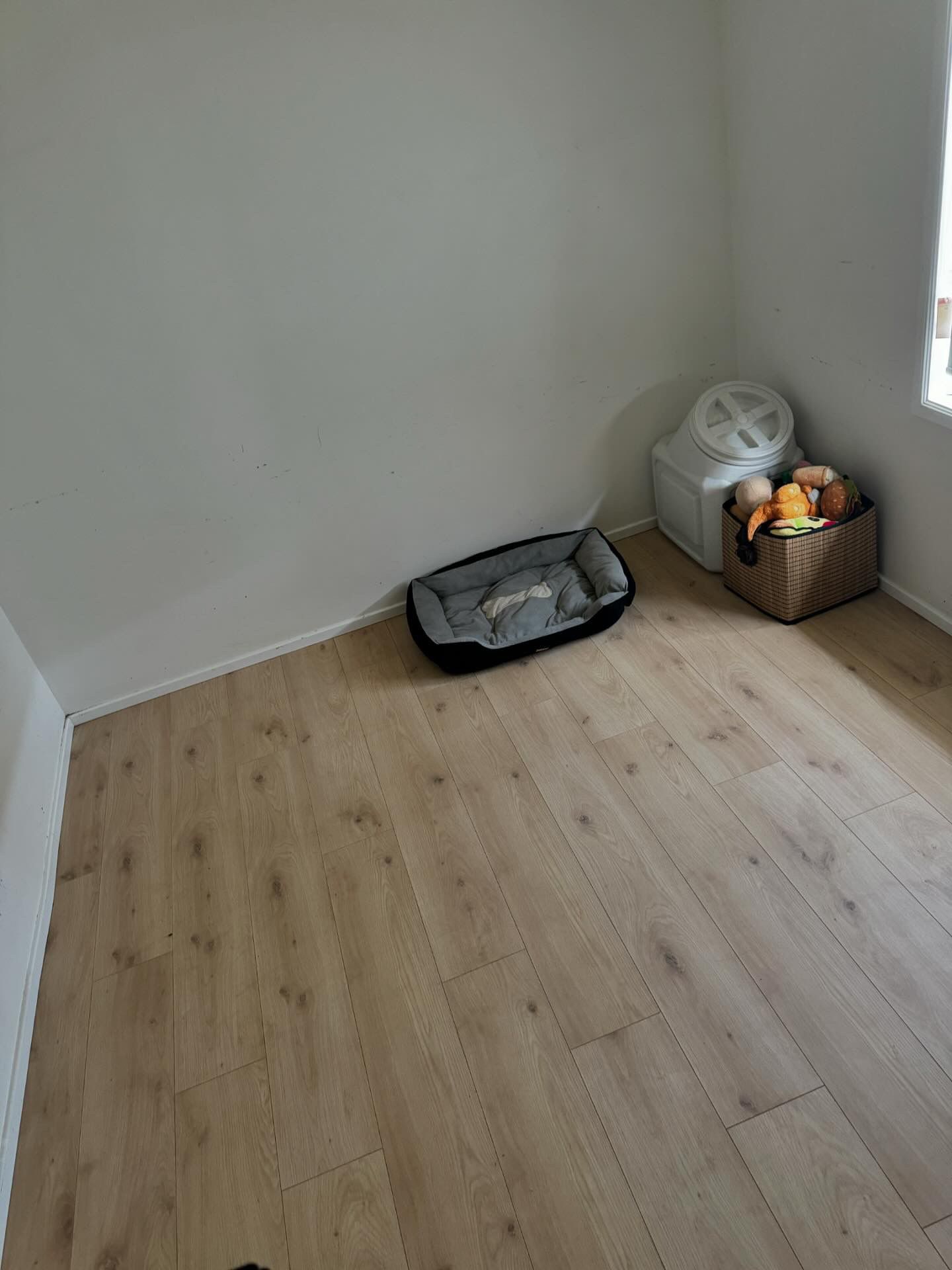 image-18