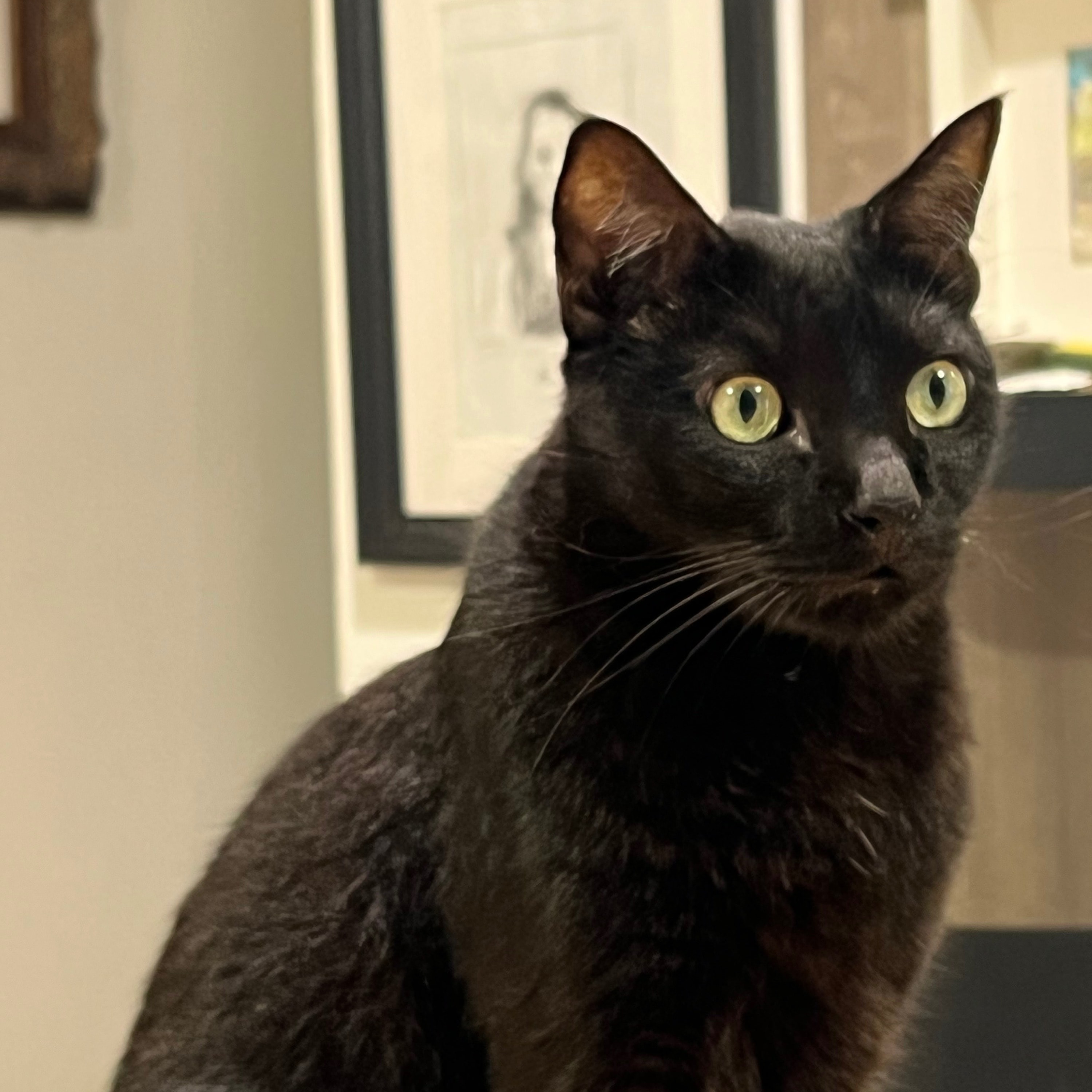 Zuko