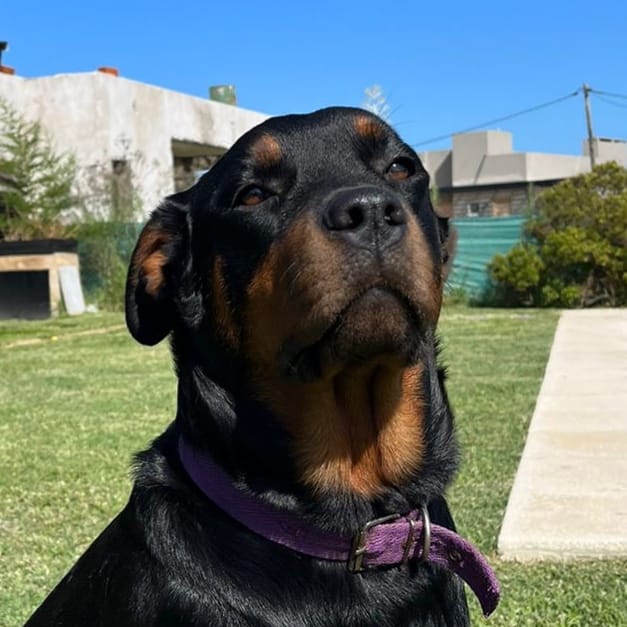 Kaia
