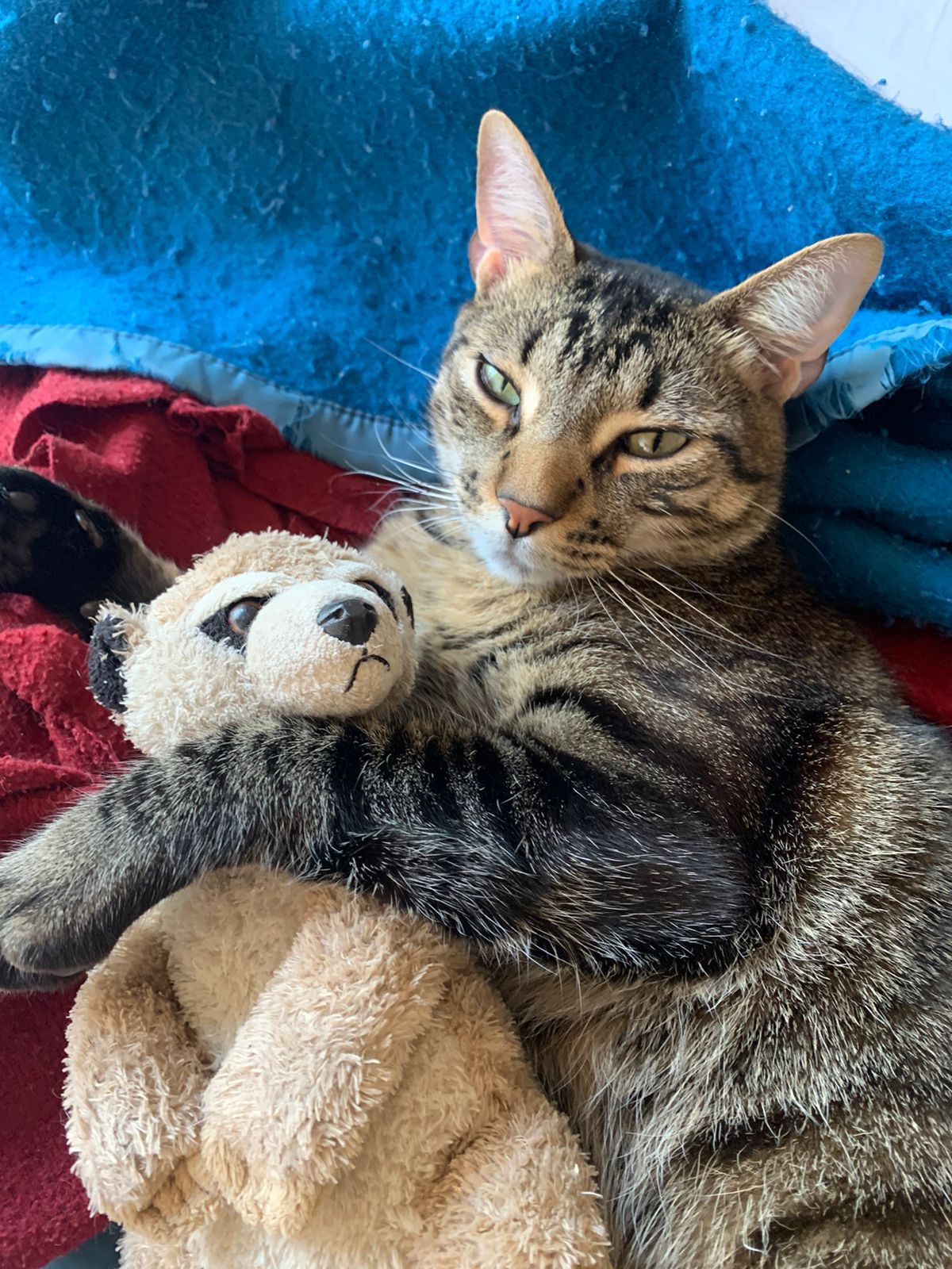 image-6