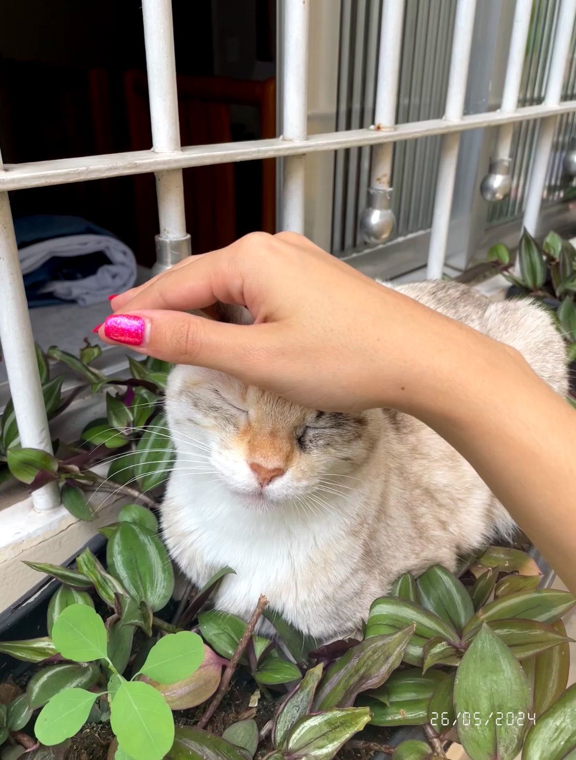 image-5