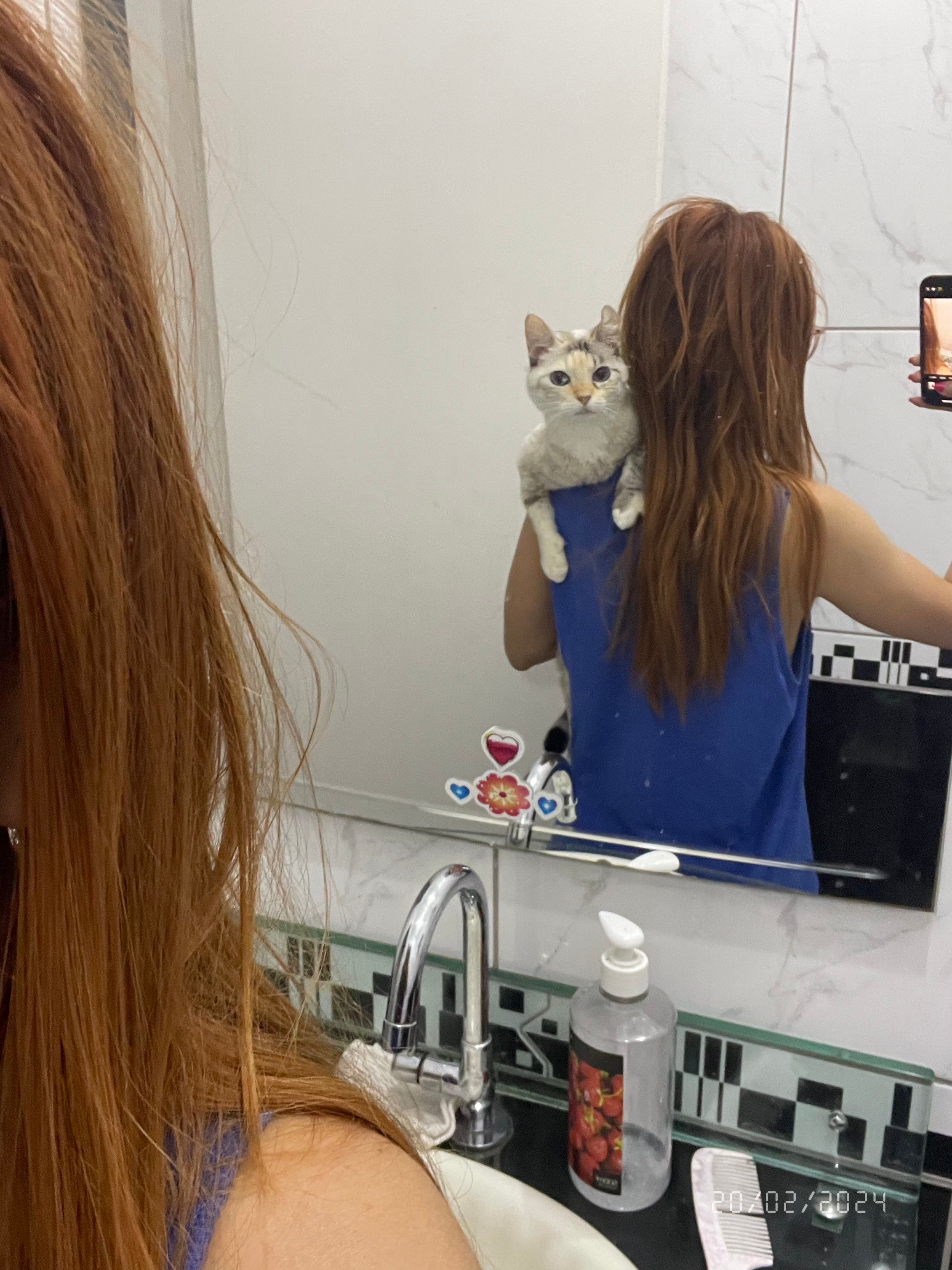 image-2