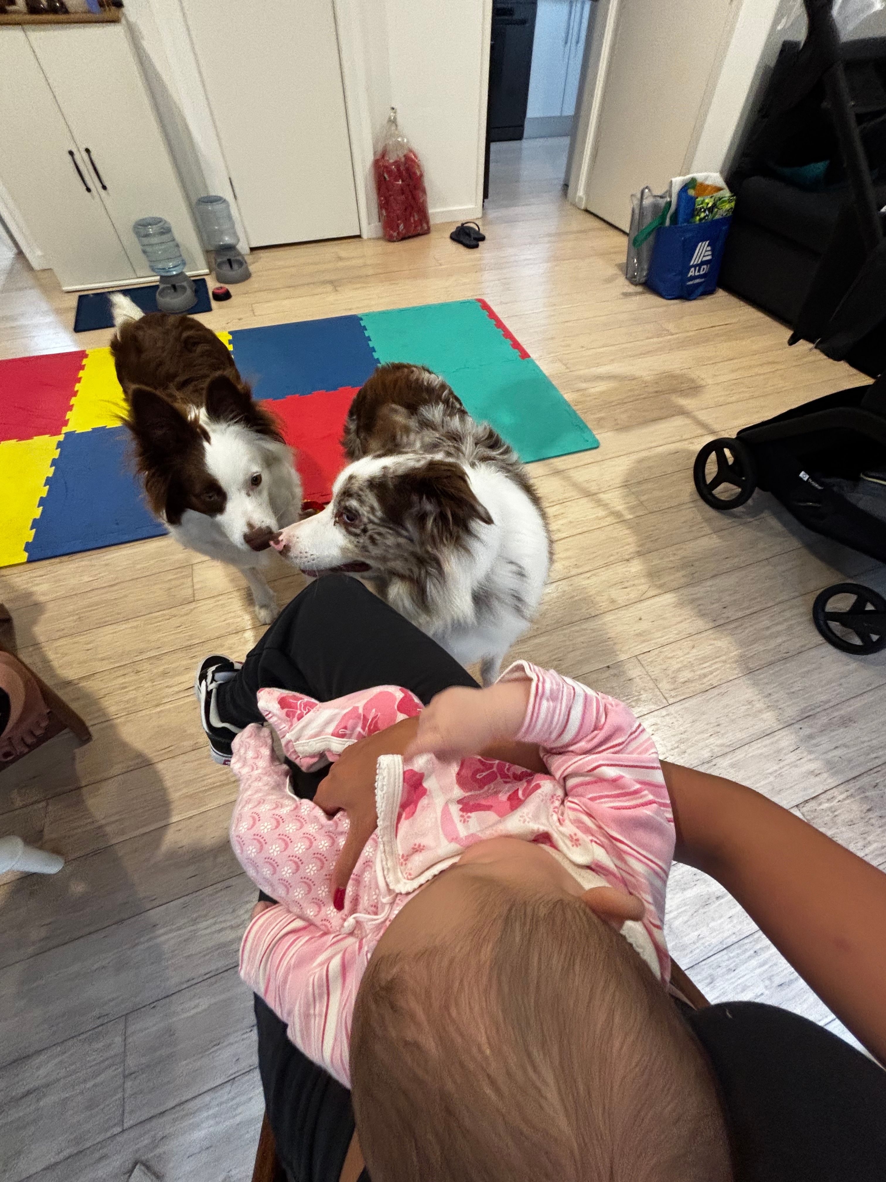 image-10