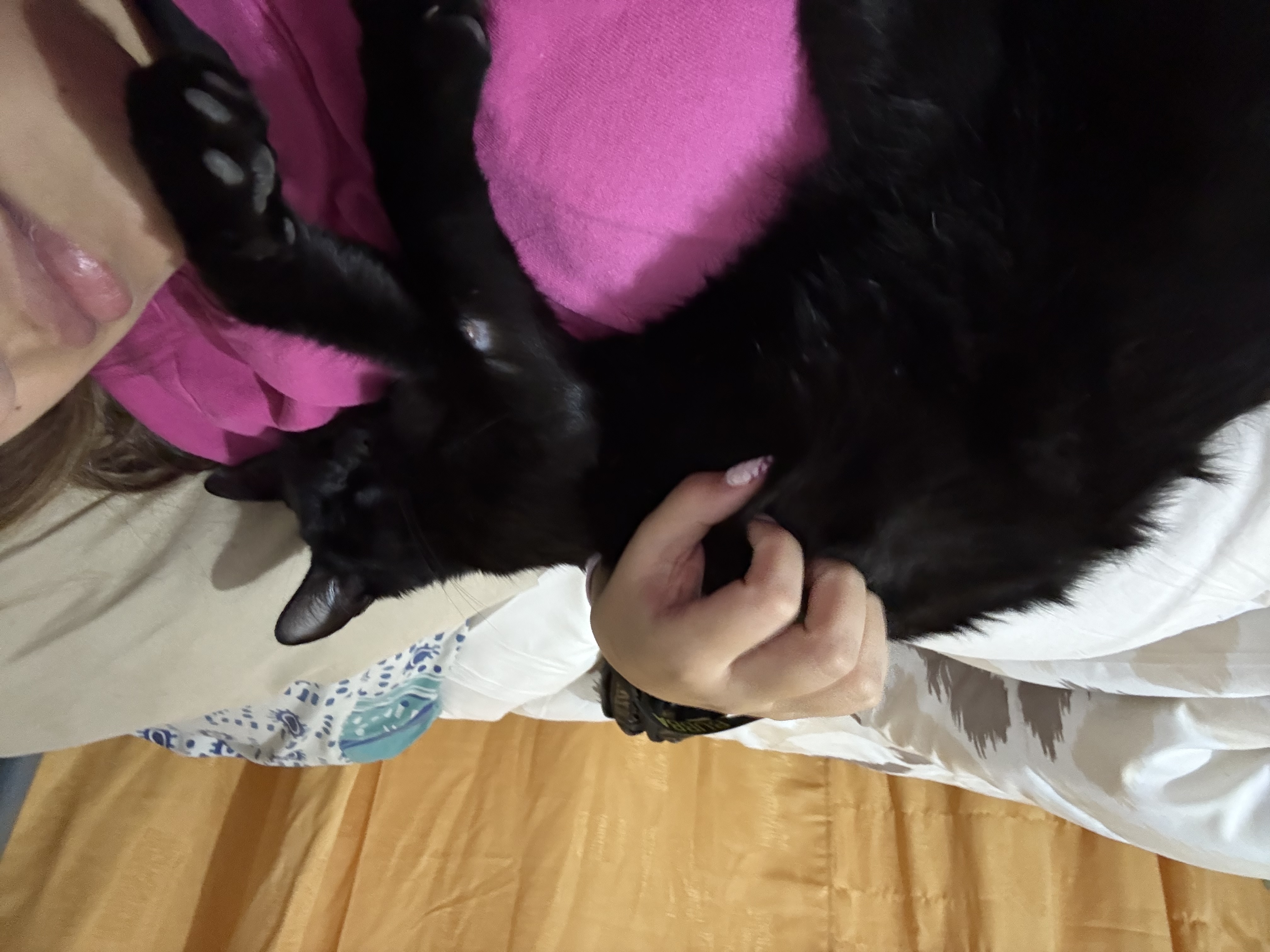image-11