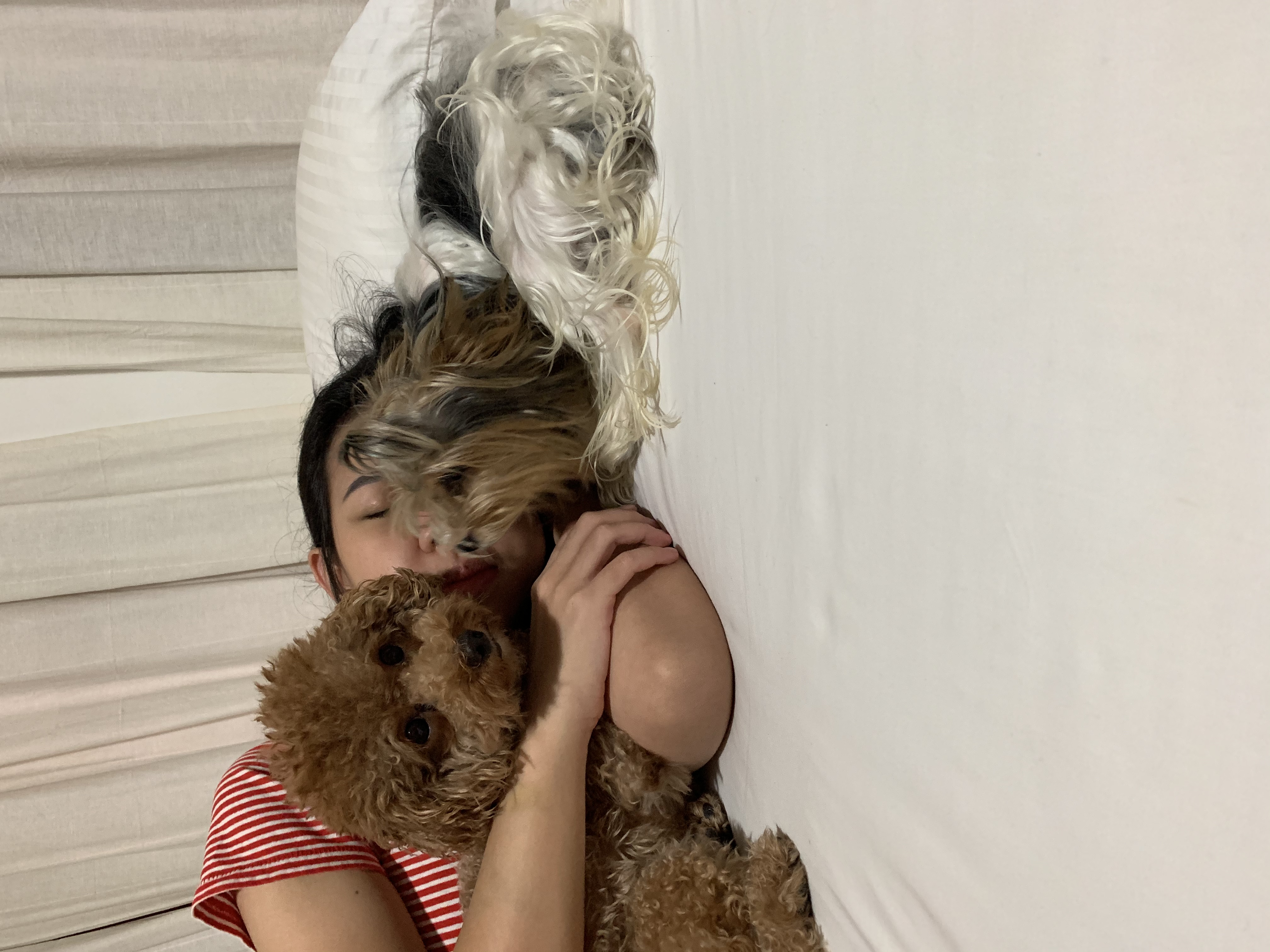 image-5