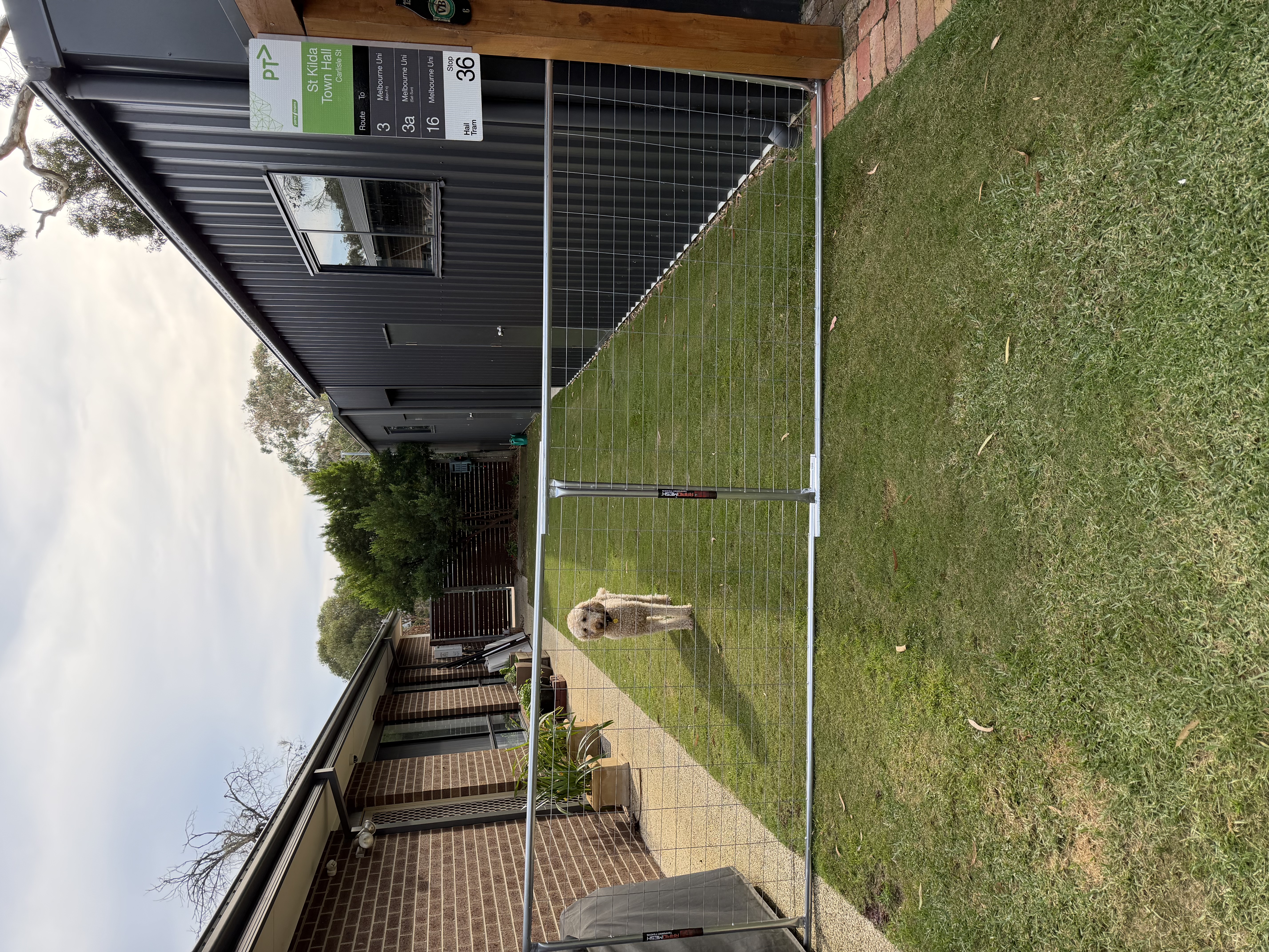 image-15