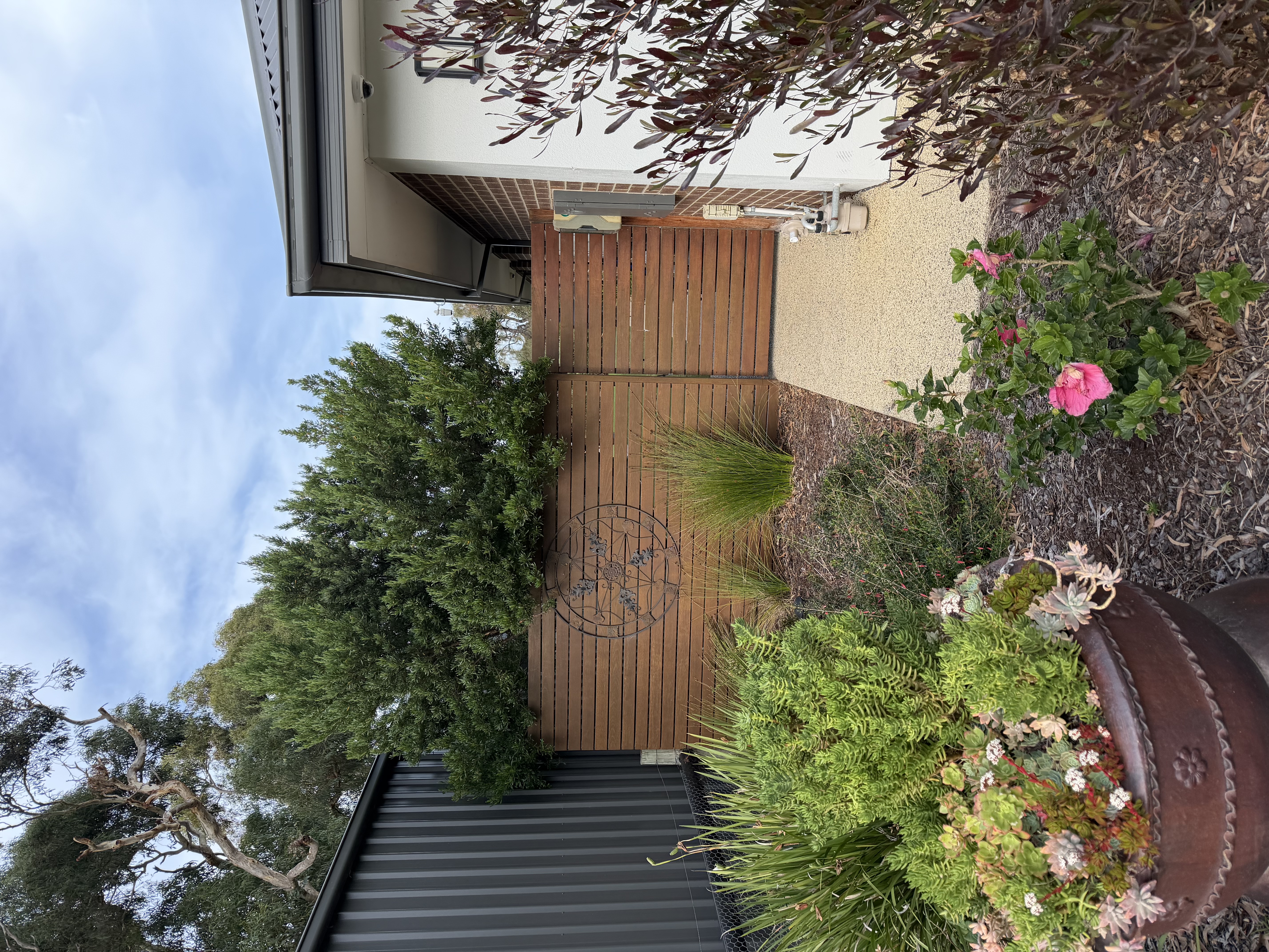 image-20