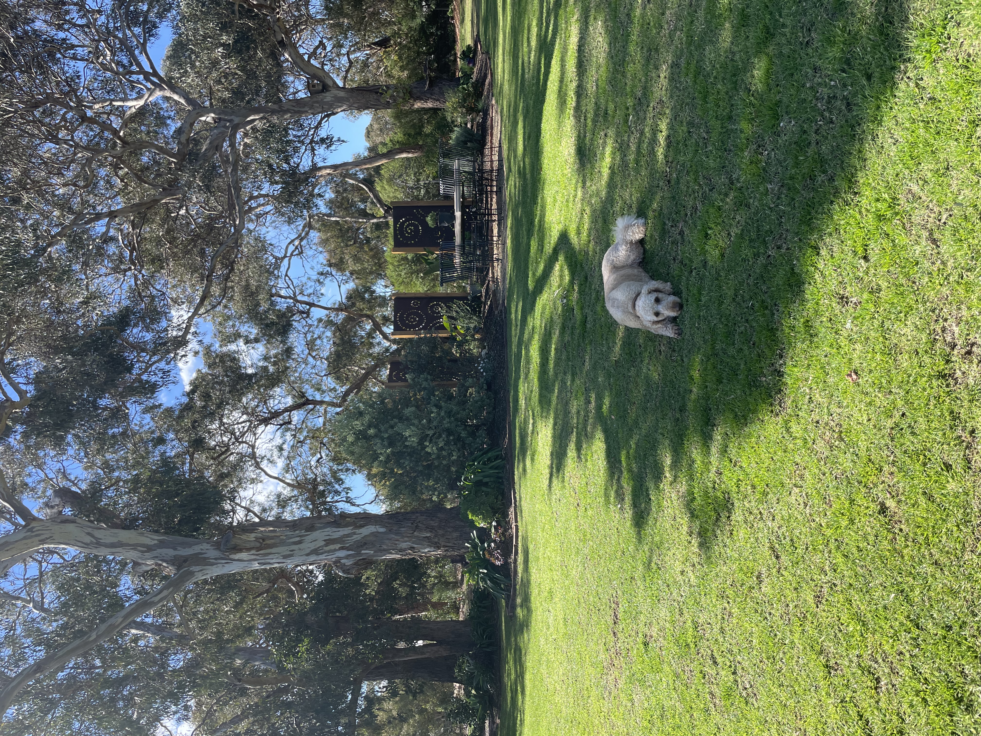 image-12
