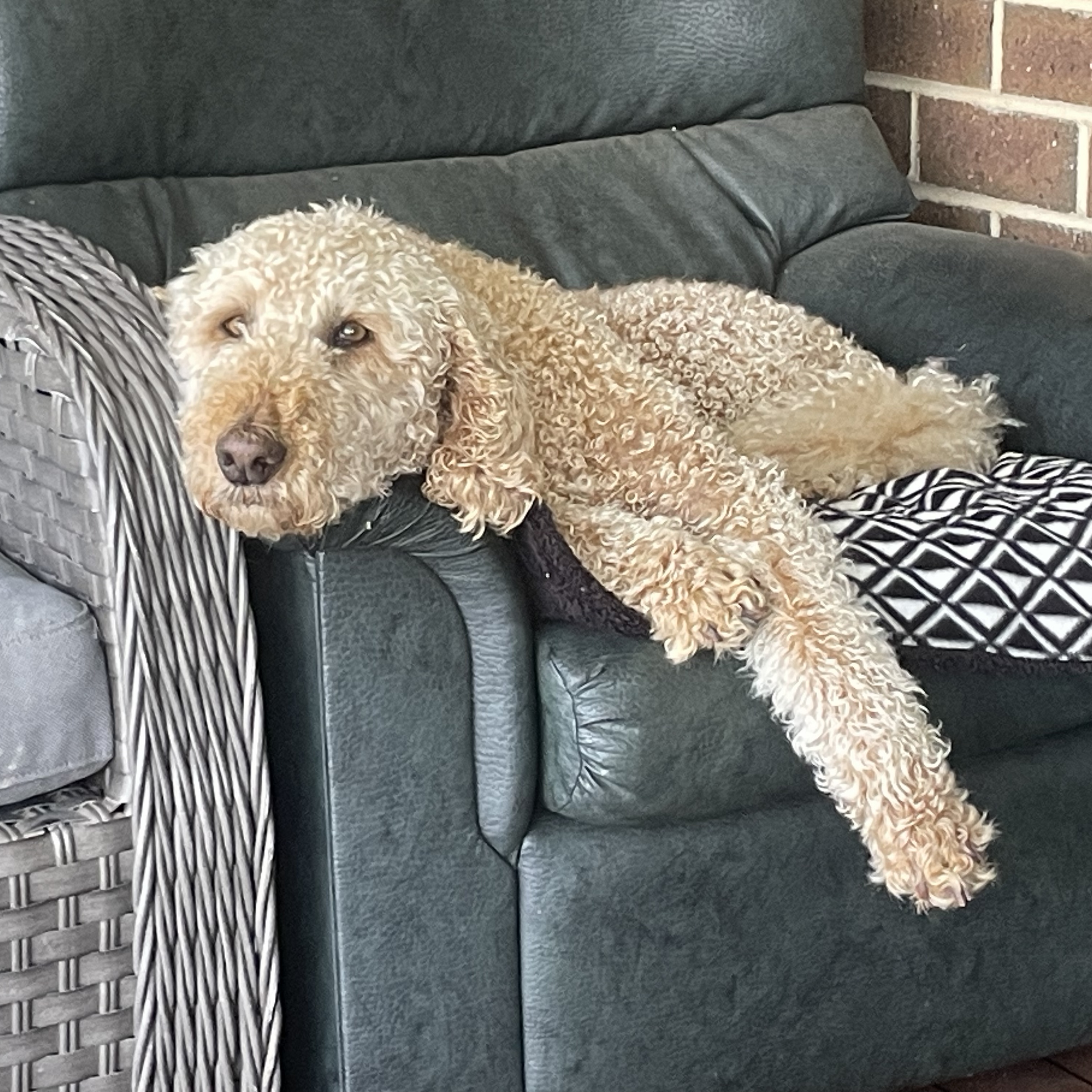 Flynn