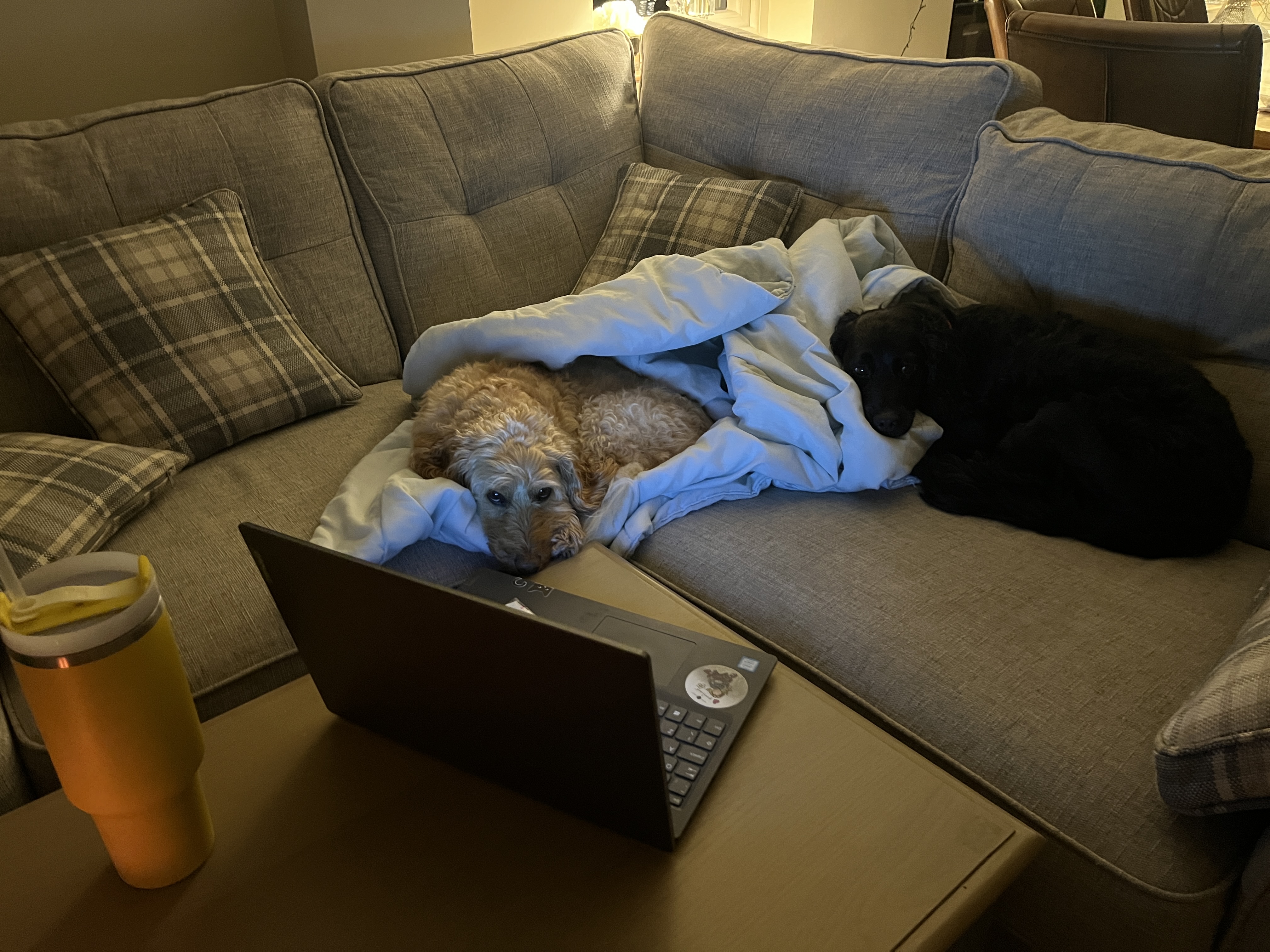 image-15