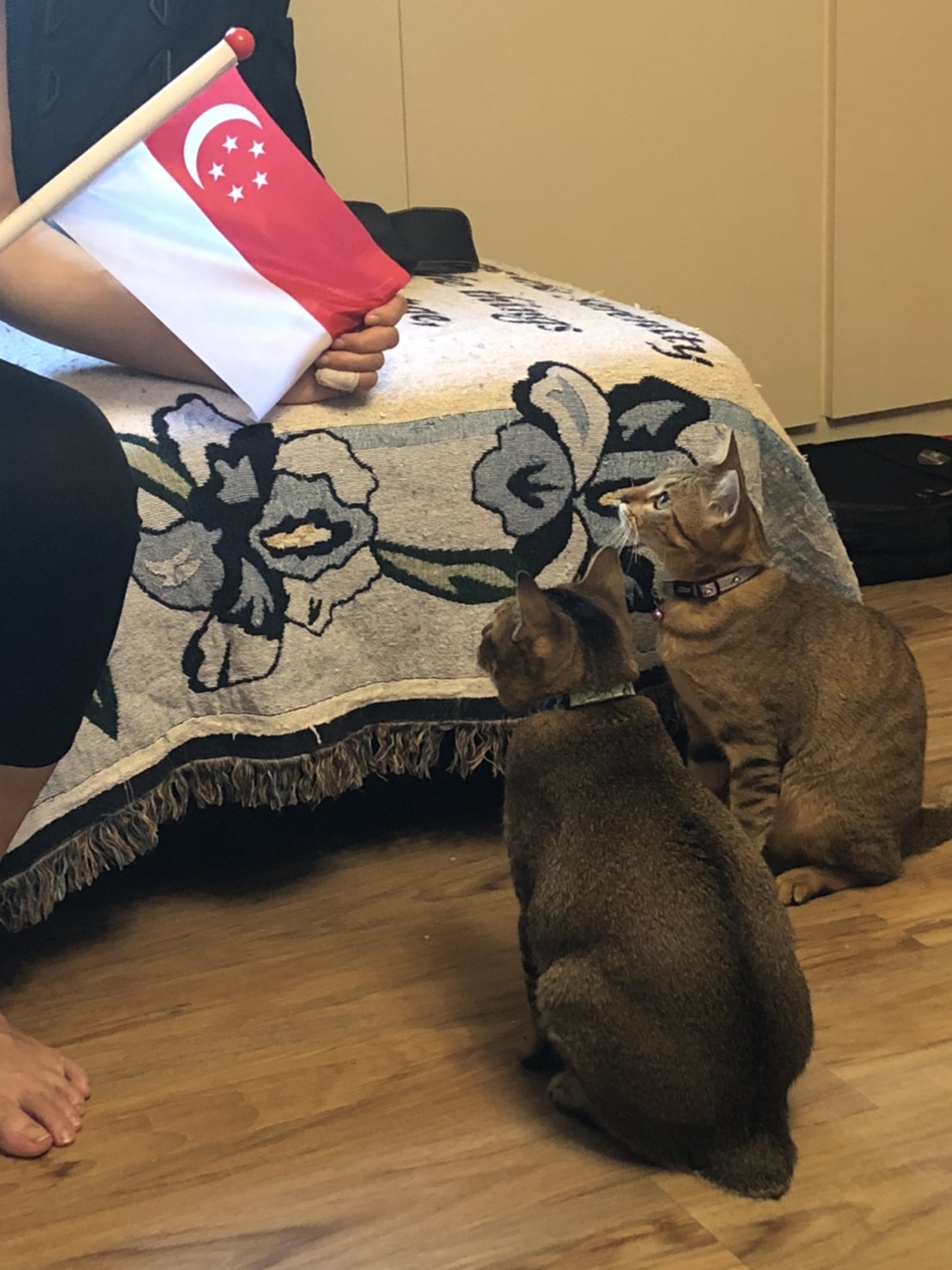 image-6