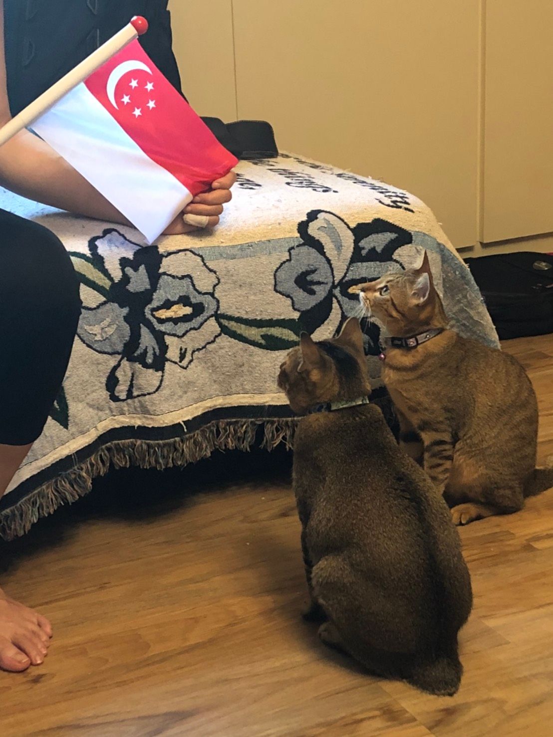 image-6