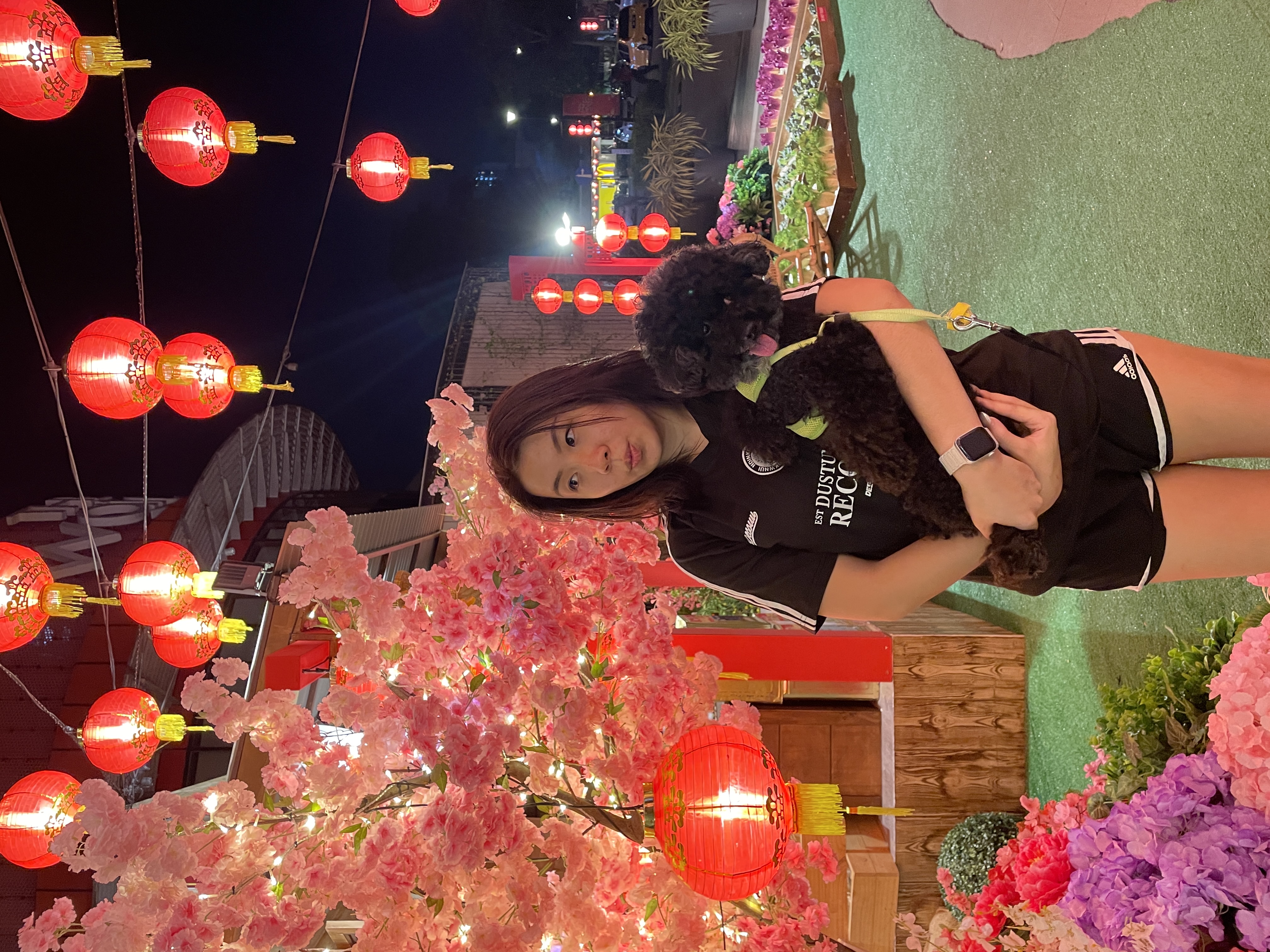 image-8