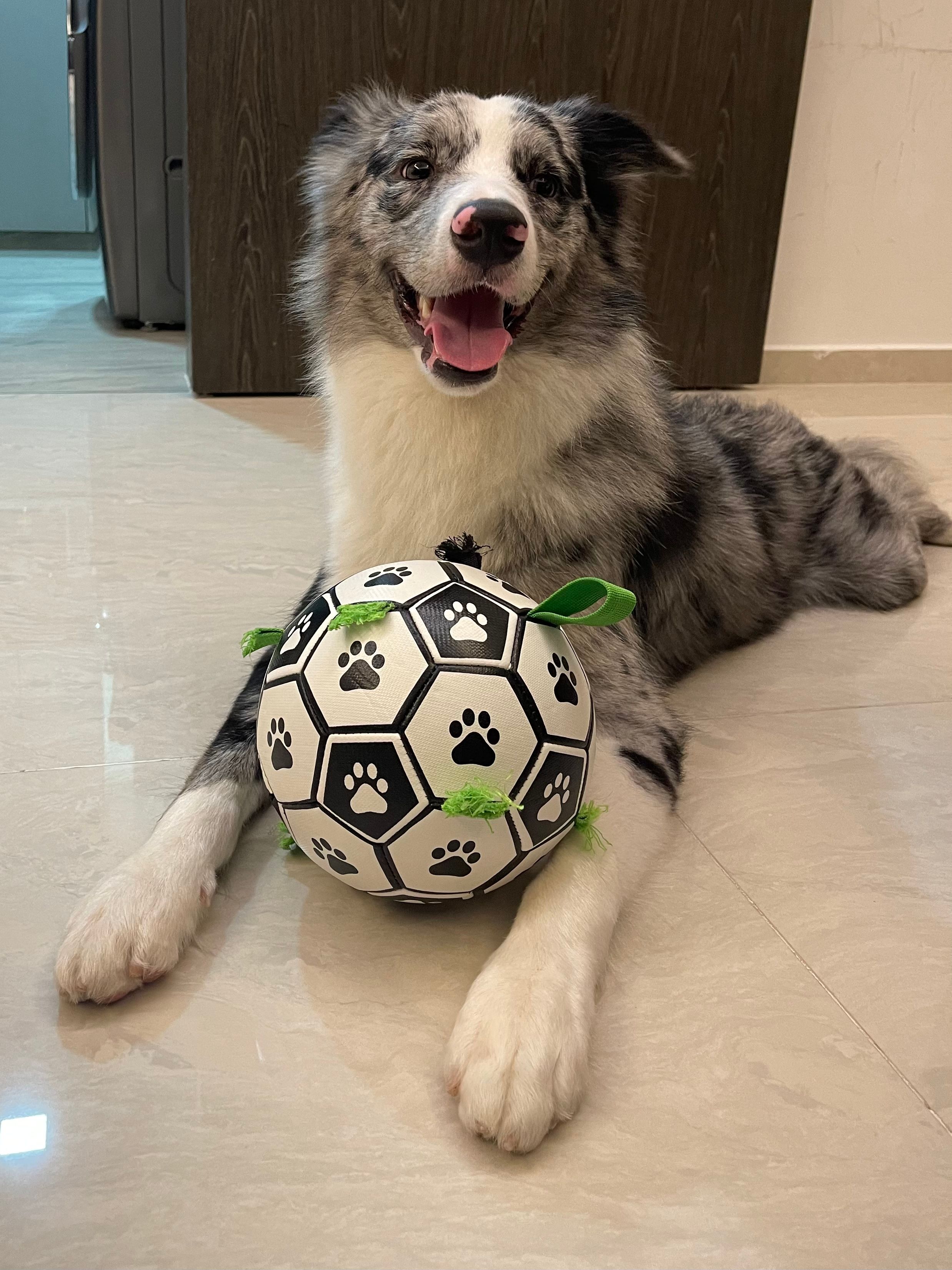 image-4